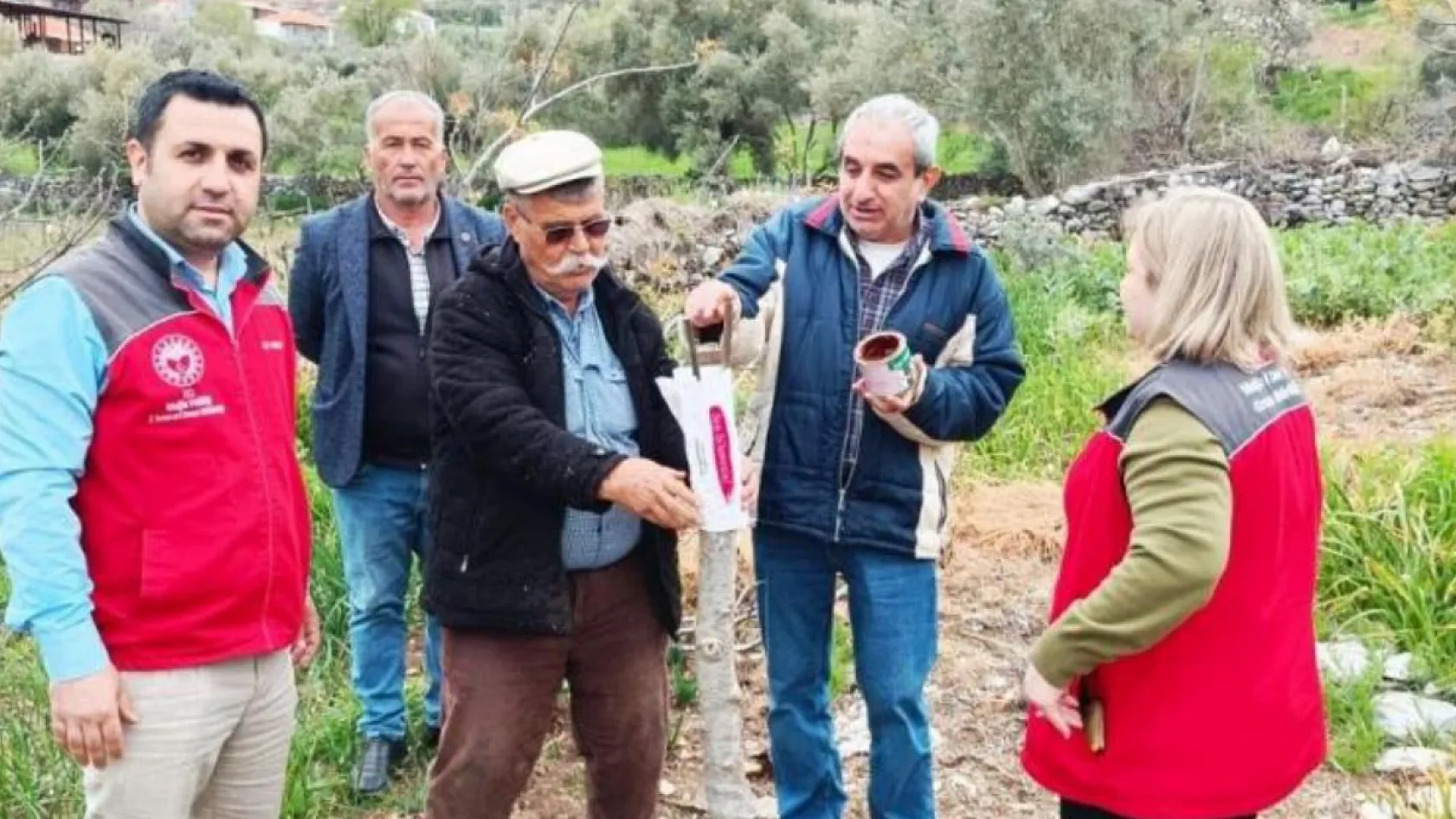 Menteşe'de çiftçiye uygulamalı eğitim