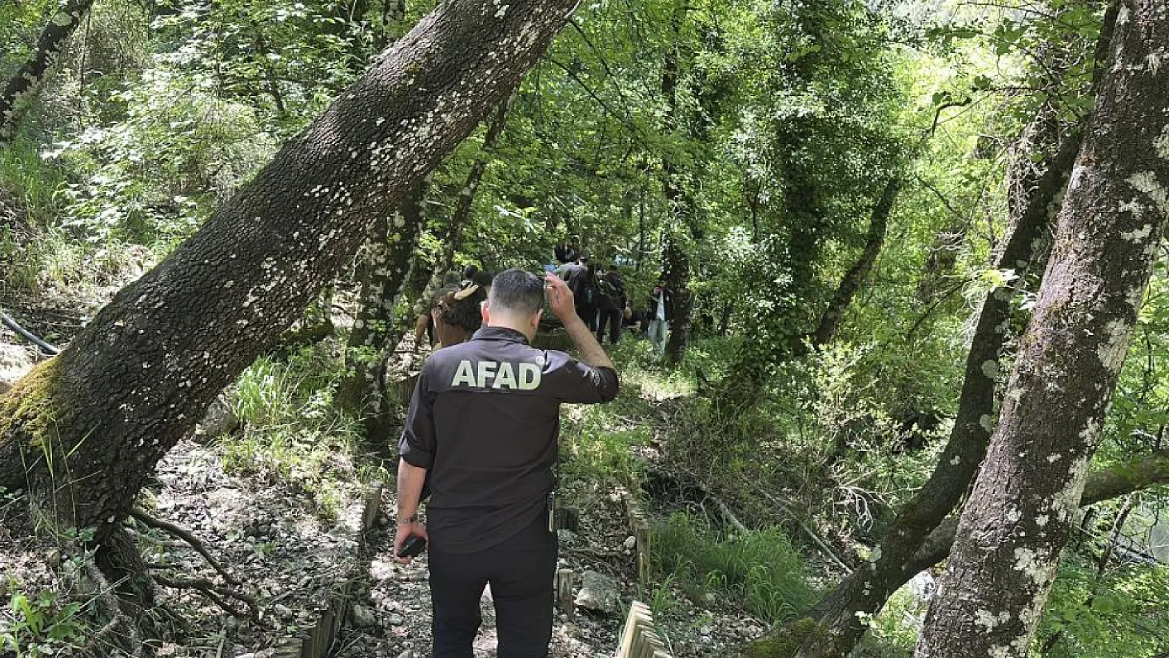 Sadece Fethiye ve Bucak'ta Bulunan Anadolu Sığla Ormanı Baharla Canlandı!