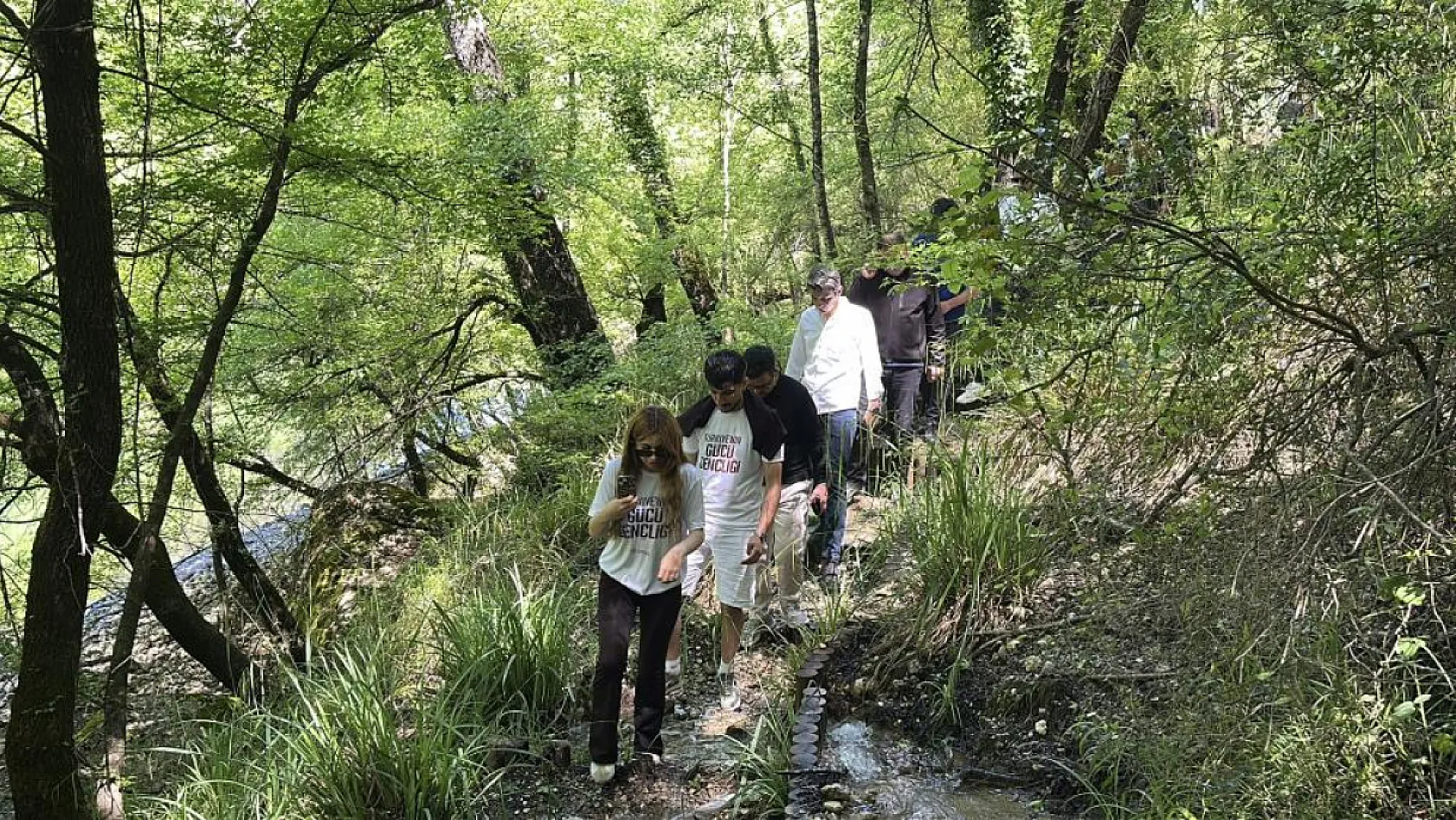 Sadece Fethiye ve Bucak'ta Bulunan Anadolu Sığla Ormanı Baharla Canlandı!