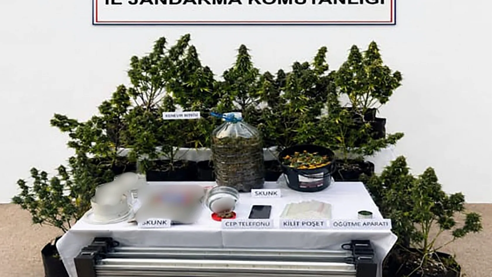 Muğla'da jandarmadan uyuşturucuya geçit yok