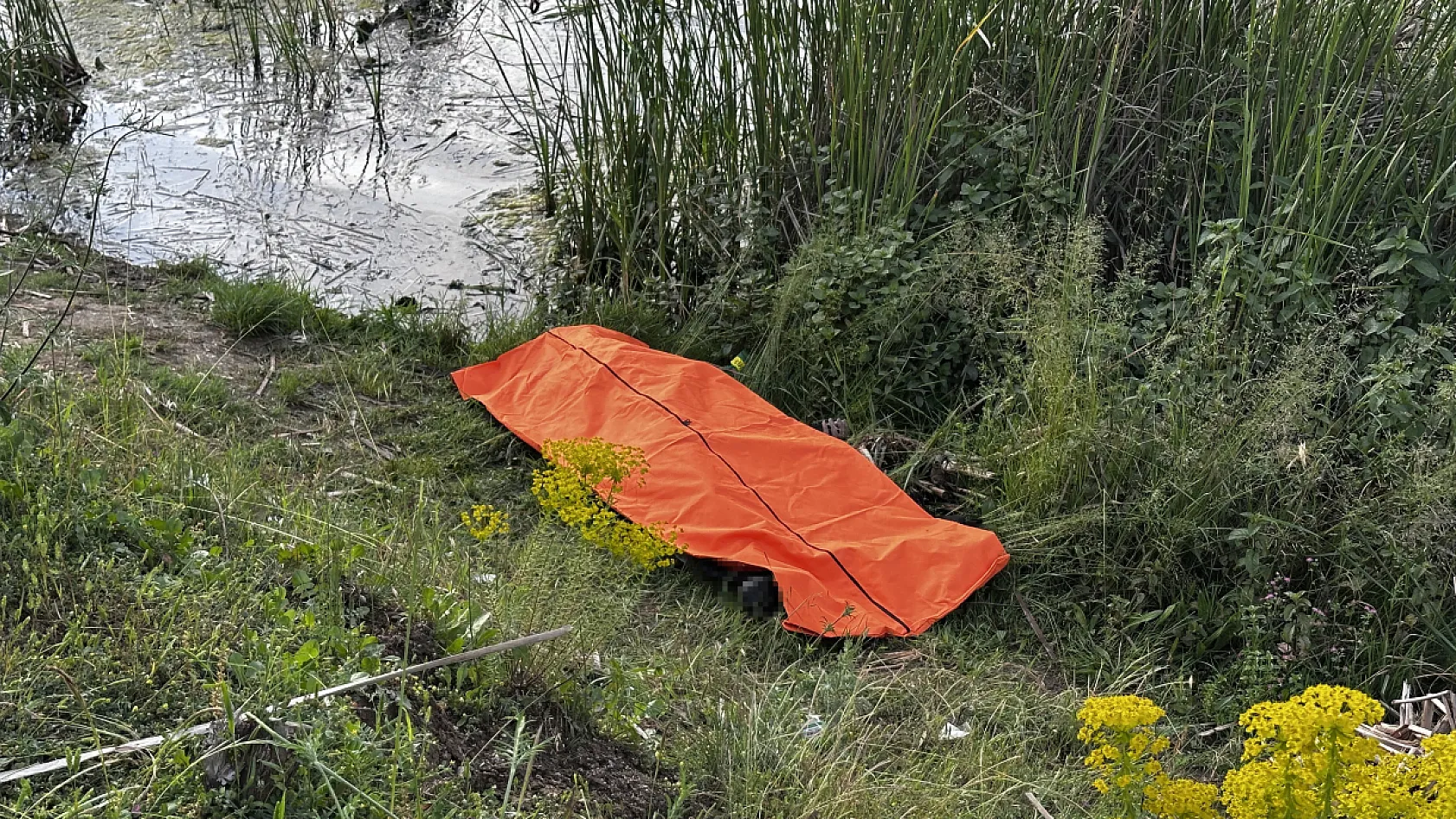 Tabiat parkındaki gölette kadın cesedi bulundu