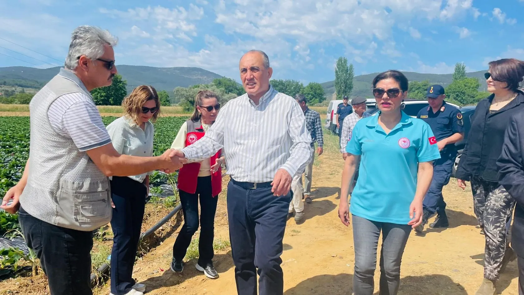 Yatağan'da 'Gençlik Yılı' kapsamında çilek hasadı yapıldı