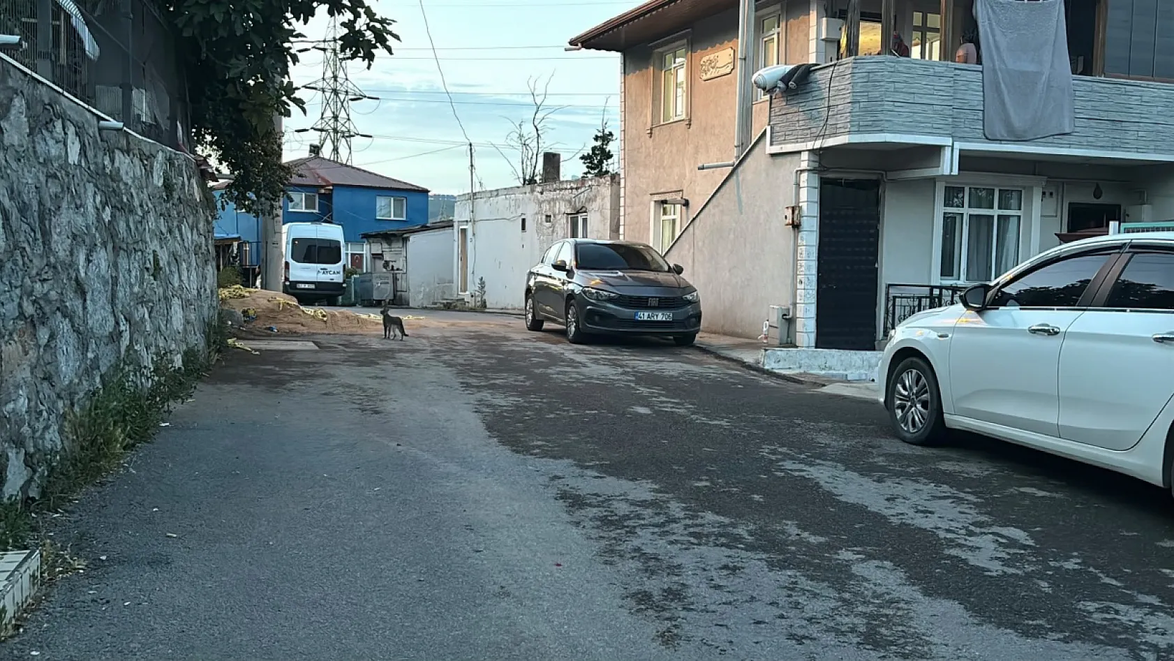 Sokak ortasındaki kadın cinayetinin görgü tanığı o anları anlattı