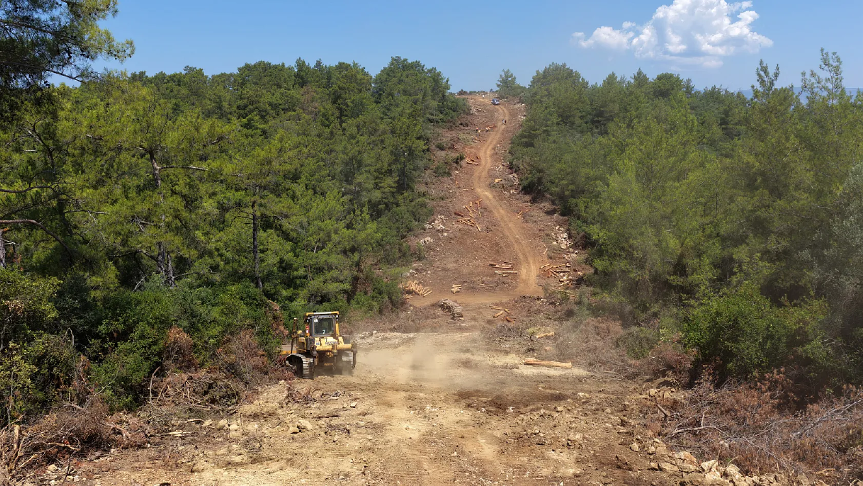 Muğla ve Aydın'da Orman yangın şerit yolu uzunluğu 2 bin kilometreye çıkıyor