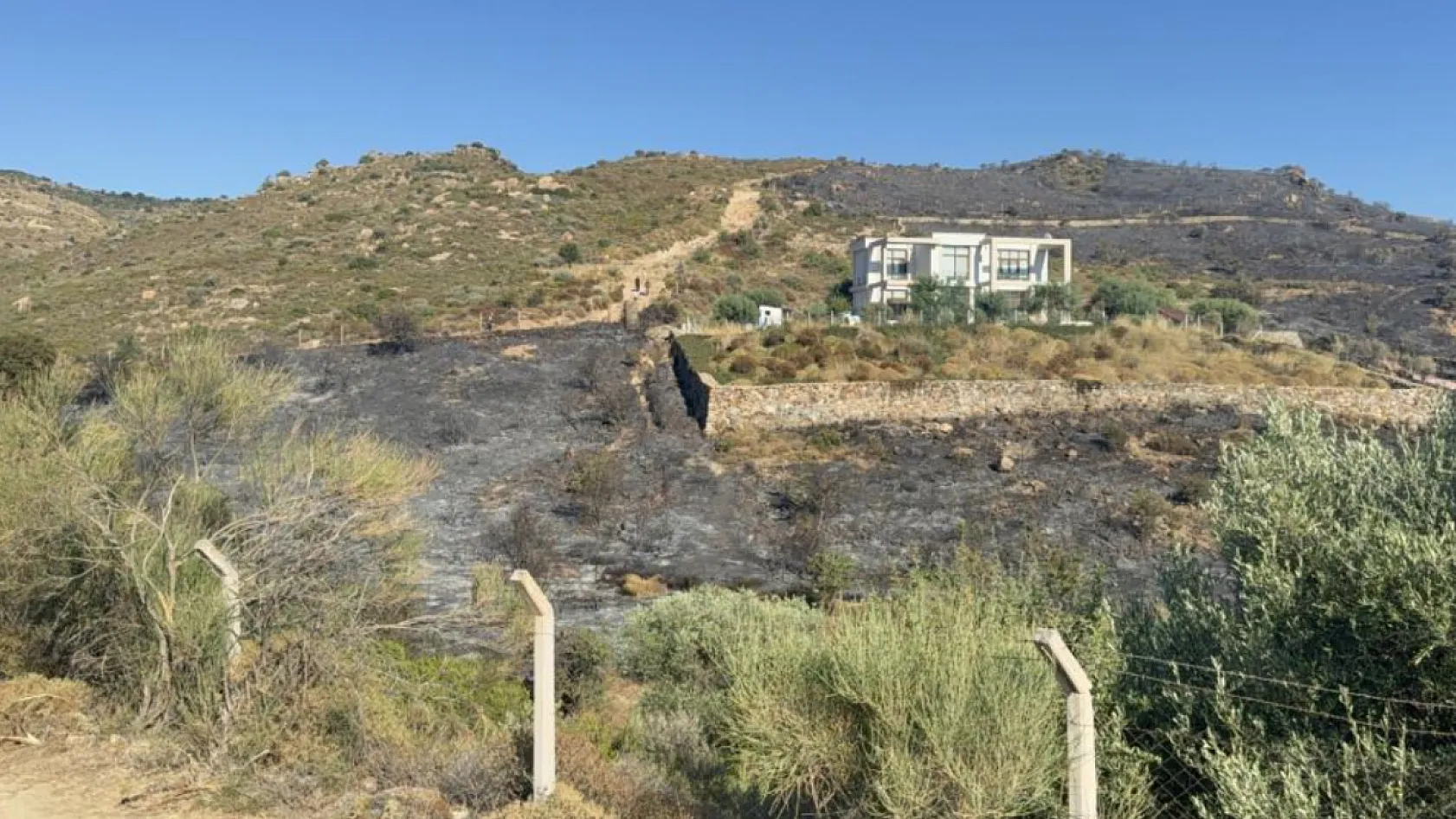 Bodrum'da makilik yangını kontrol altına alındı