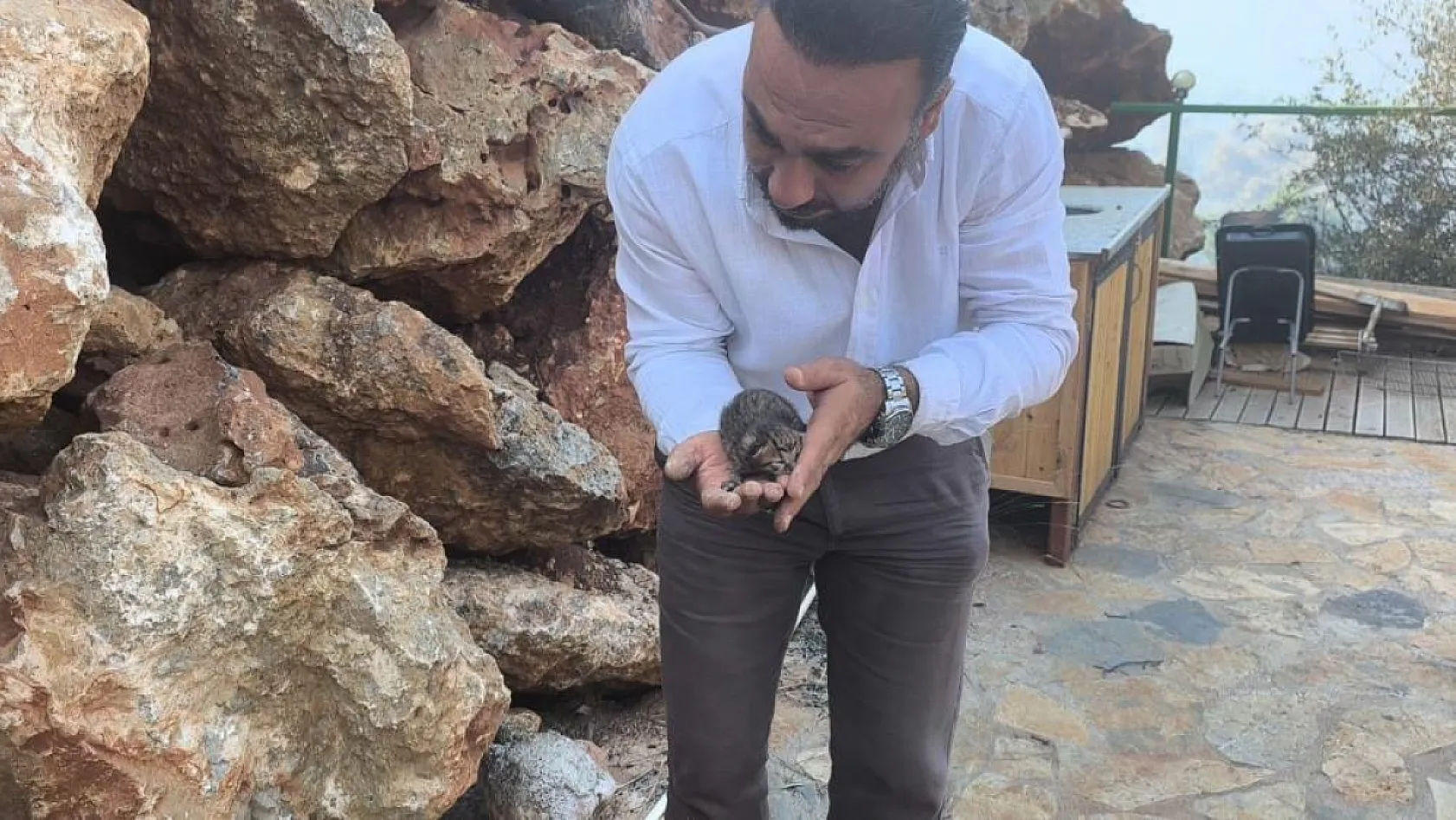 Fethiye'deki Yangında Kayaların Arasında Mahsur Kalan Yavru Kedi Kurtarıldı