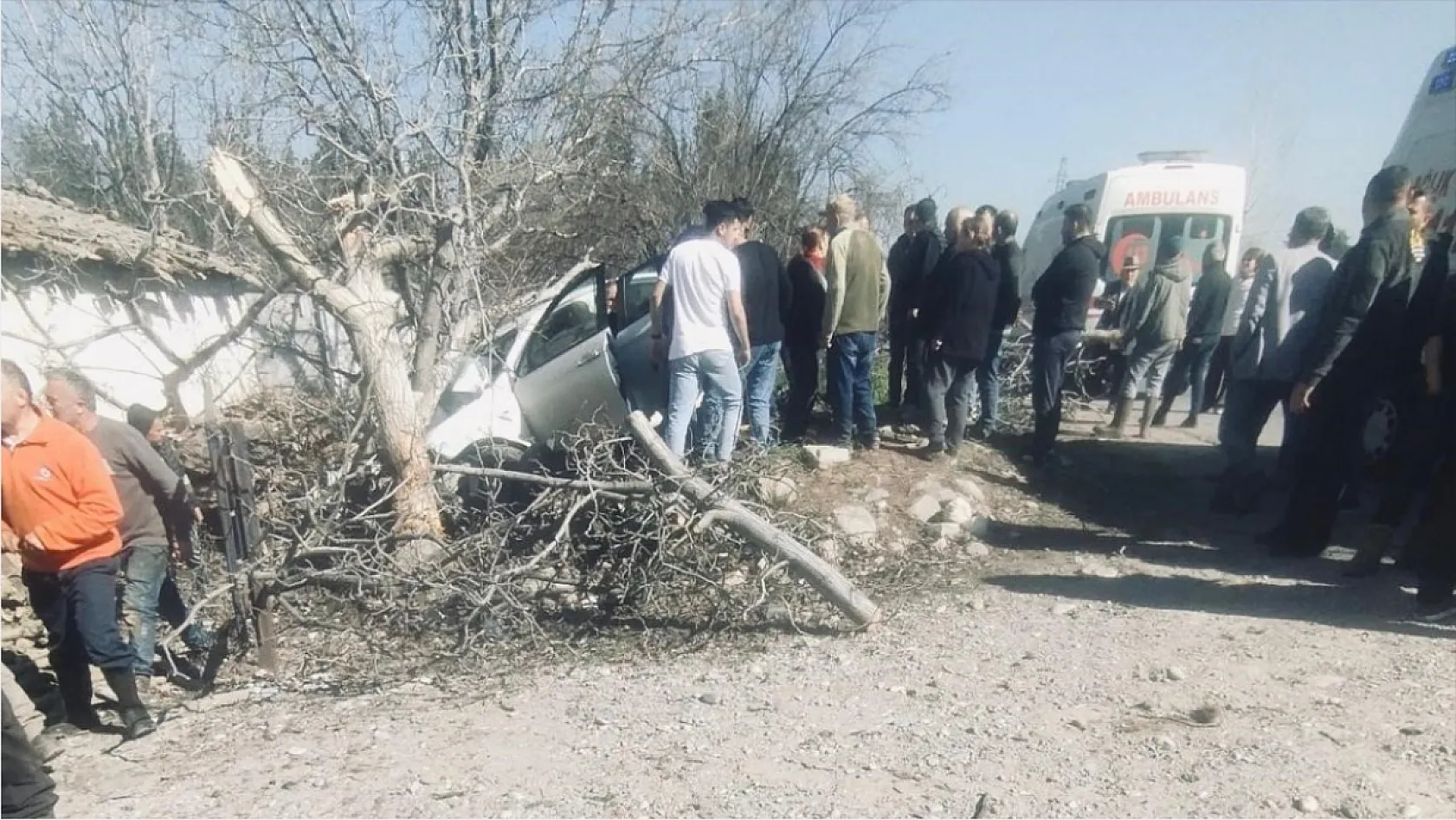 Aydın'da Kontrolden Çıkan Araç Ağaçlara Çarptı: İki Kişi Hayatını Kaybetti