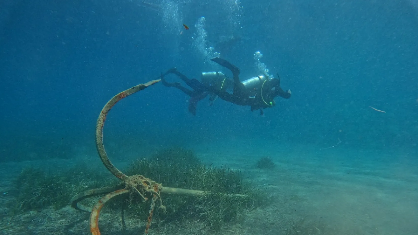 Bodrum açıklarında 40 metre derinliğe uzanan kesintisiz deniz çayırı kuşağı belirlendi