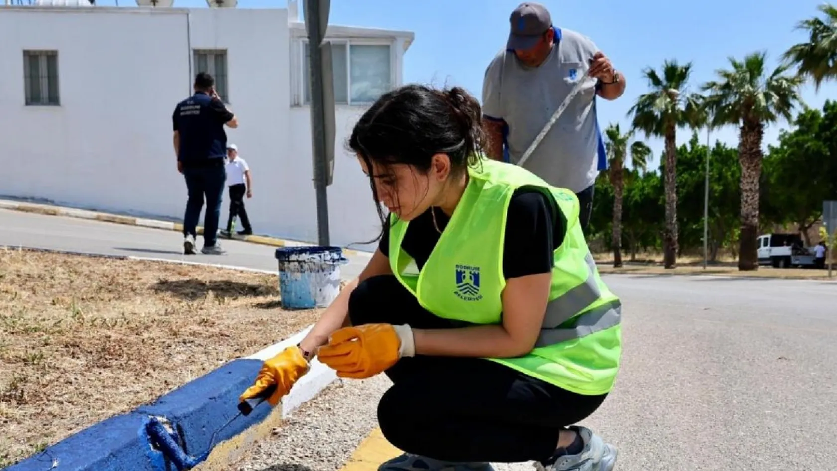 Bodrum'da çevre seferberliği