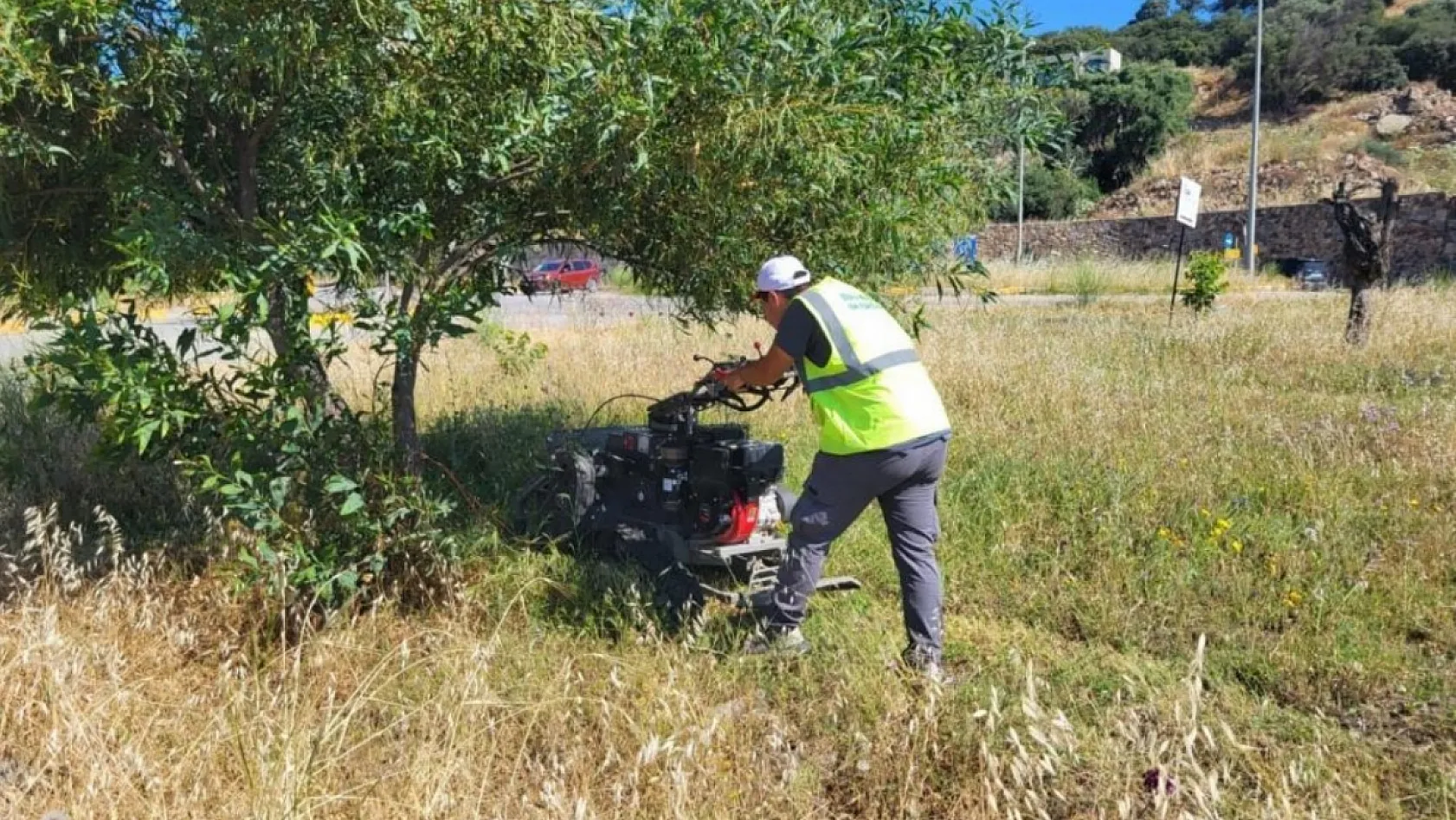 Bodrum'da ot temizliği çalışmaları tüm hızıyla devam ediyor