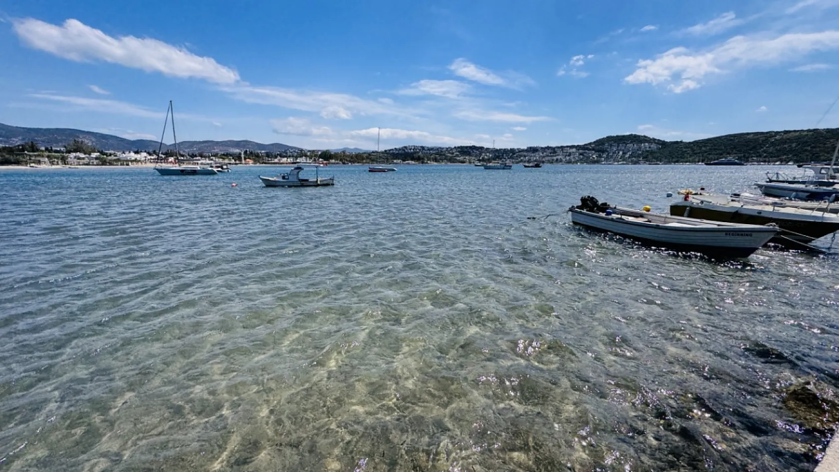 Bodrum kıyılarındaki deniz çayırlarının korunması çağrısı