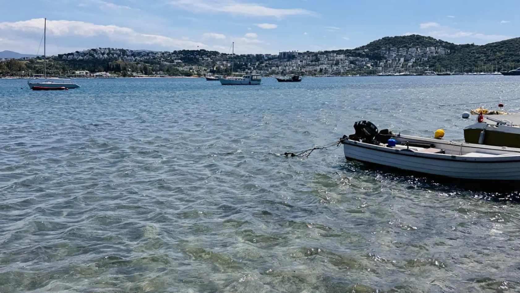Bodrum kıyılarındaki deniz çayırlarının korunması çağrısı