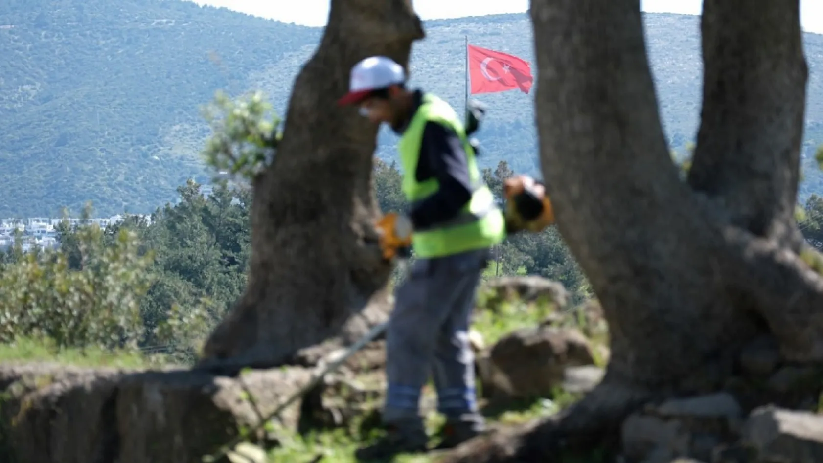 Bodrum'da Antik Halikarnassos Surları'nda temizlik çalışması