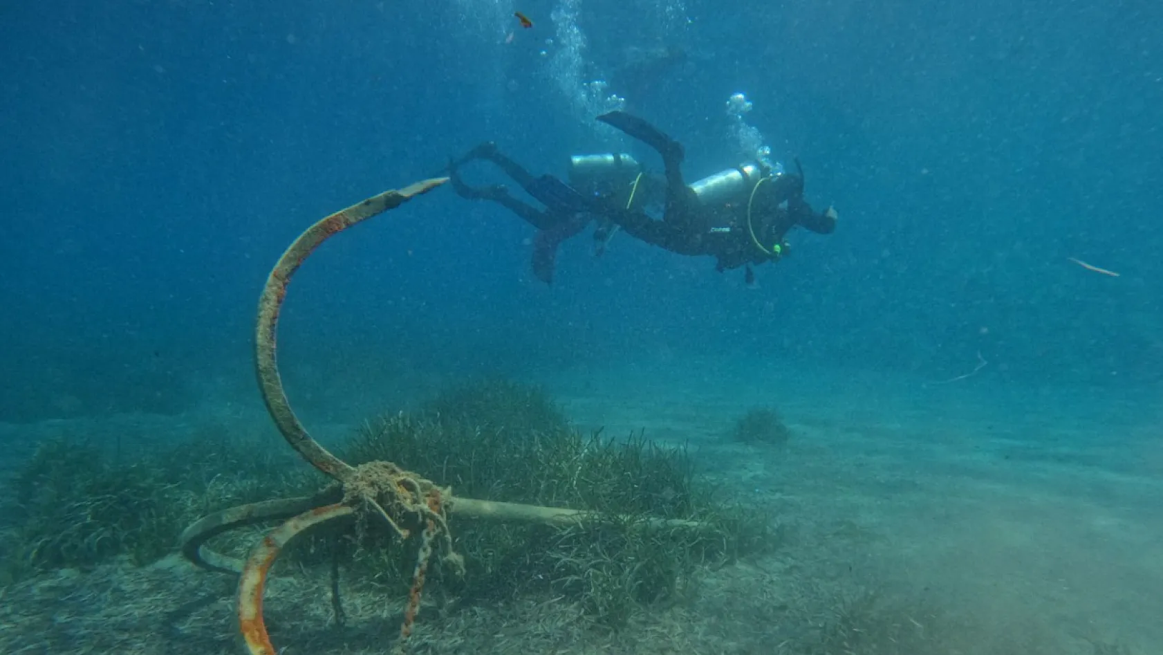 Bodrum'un su altı ekosistemini haritalama çalışmaları sürüyor