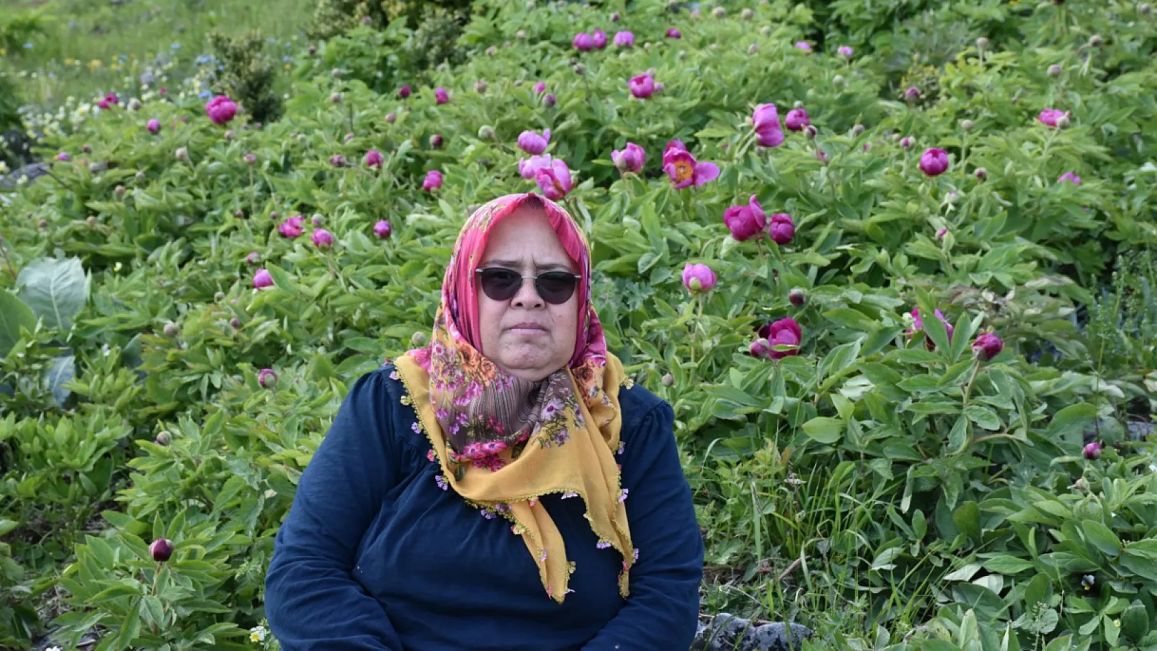 Bu çiçeği koparmanın cezası yarım milyondan fazla: Sadece 10 gün açıyor