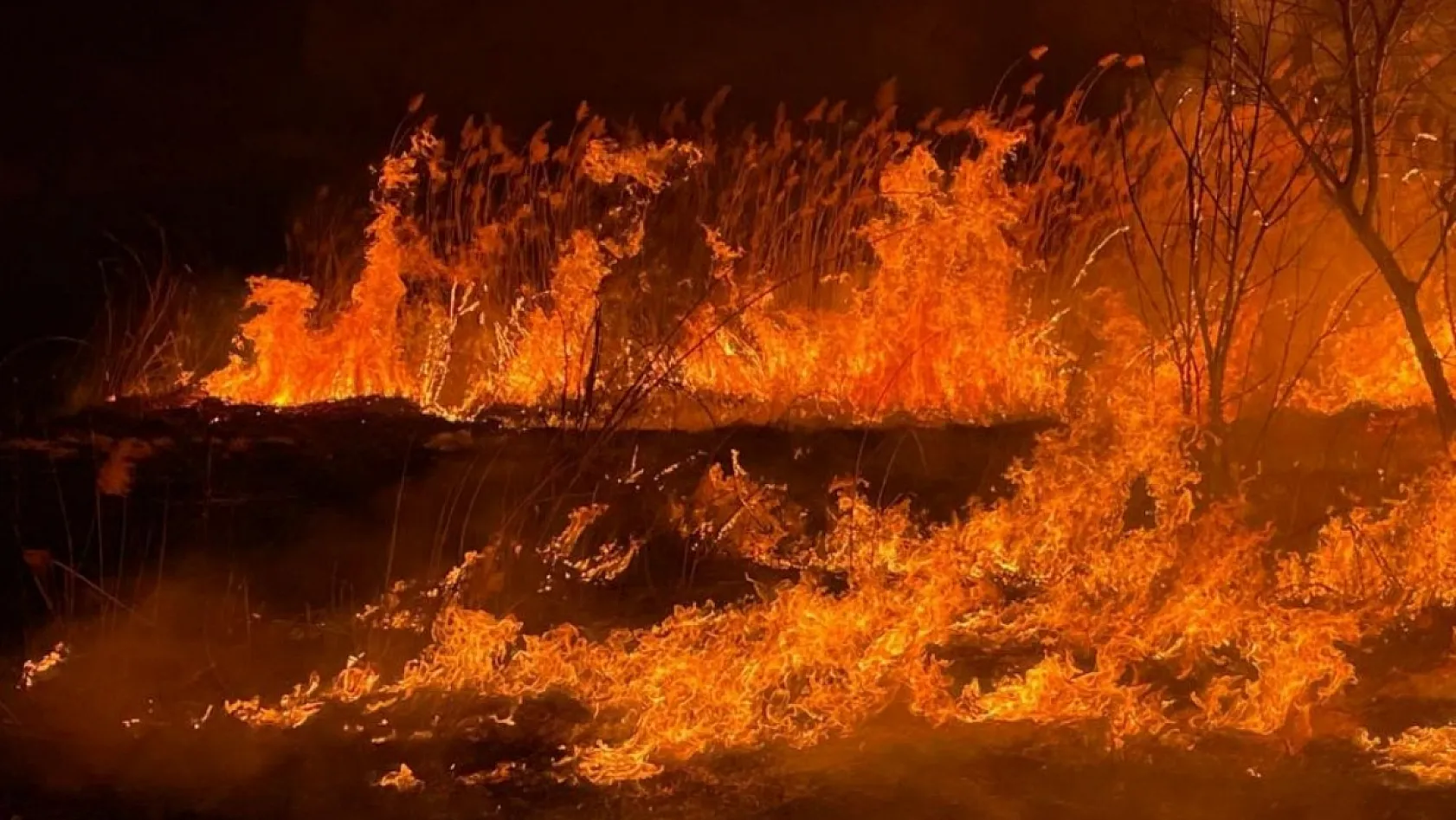 Burdur'da sazlık alanda yangın geceyi aydınlattı