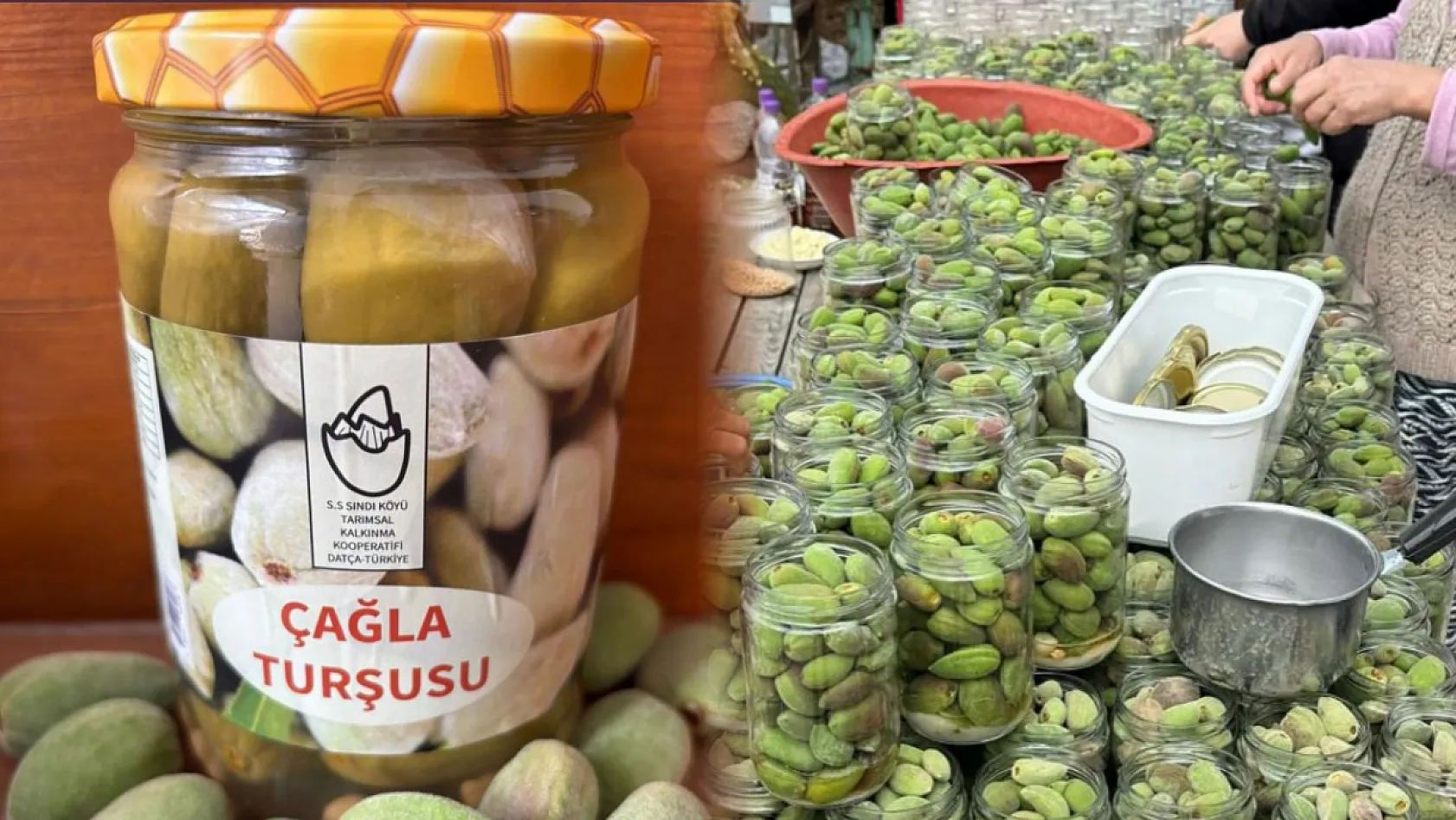 Datça'da Çağla Hasadı Tamamlandı, Üretim Turşuya Dönüştü