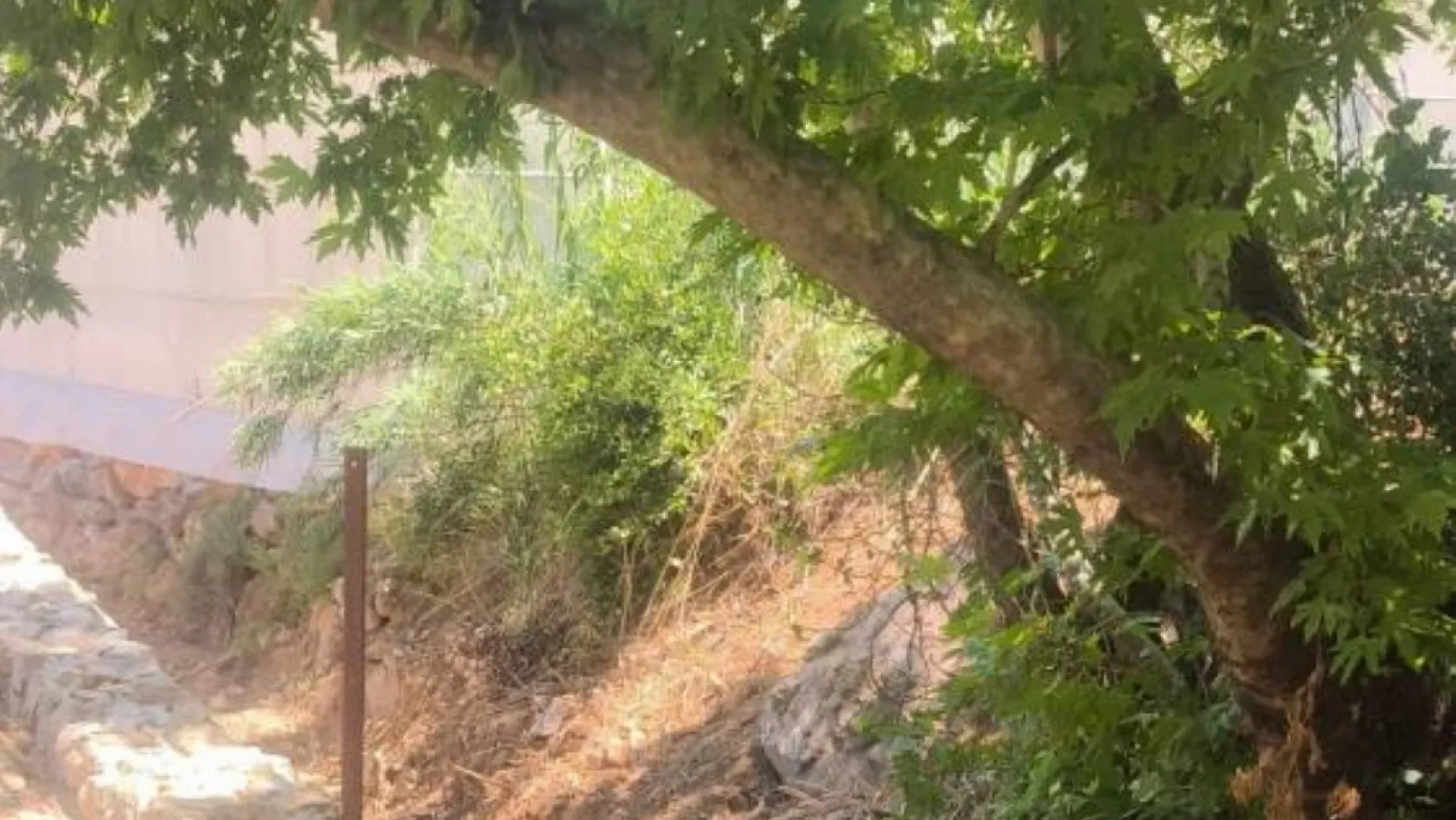 Devriye gezen jandarma son anda fark etti, bir hayat kurtuldu