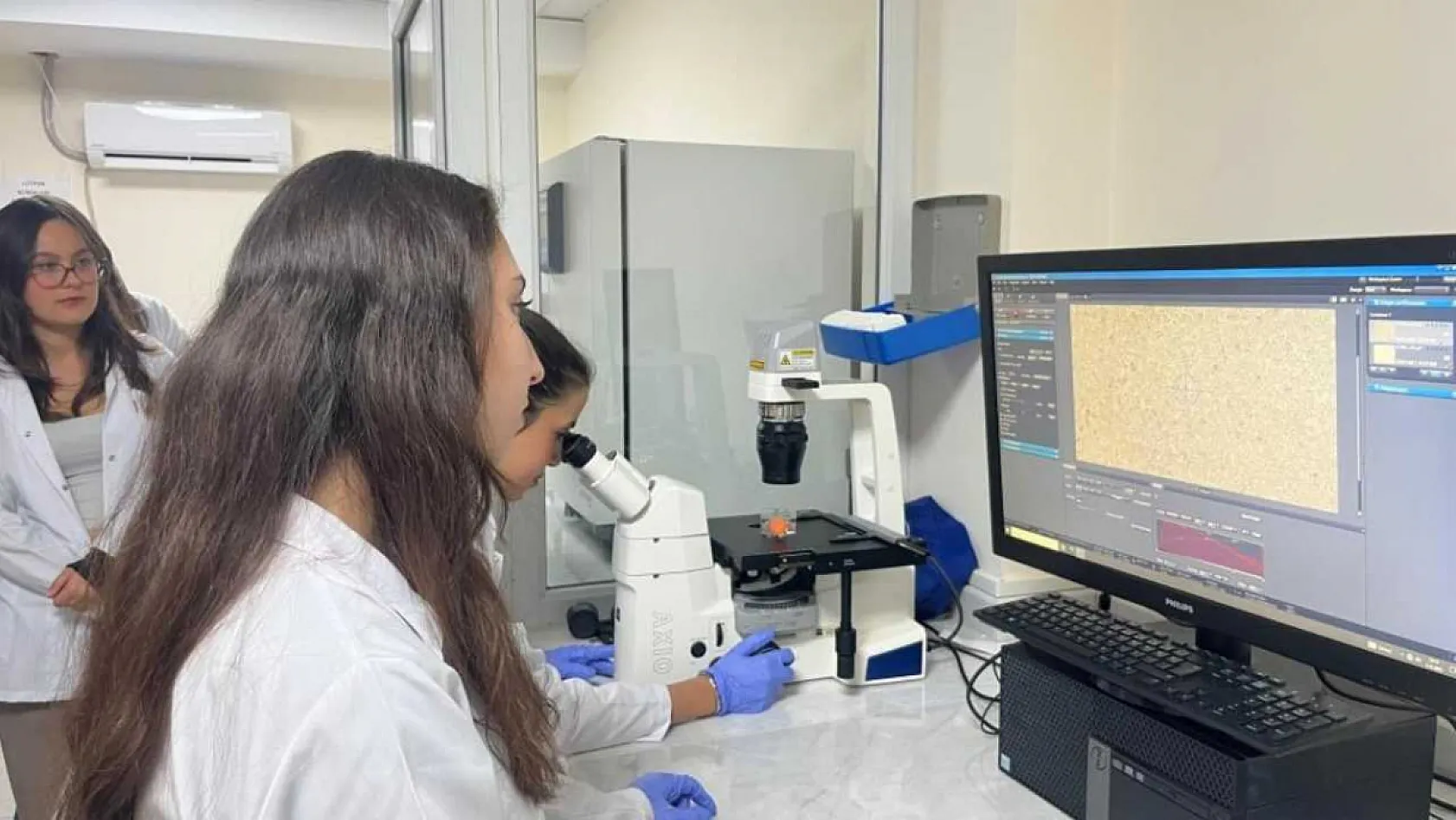 Parkinson'da bağırsak- beyin iletişimi çip üstü organ teknolojisiyle araştırılıyor