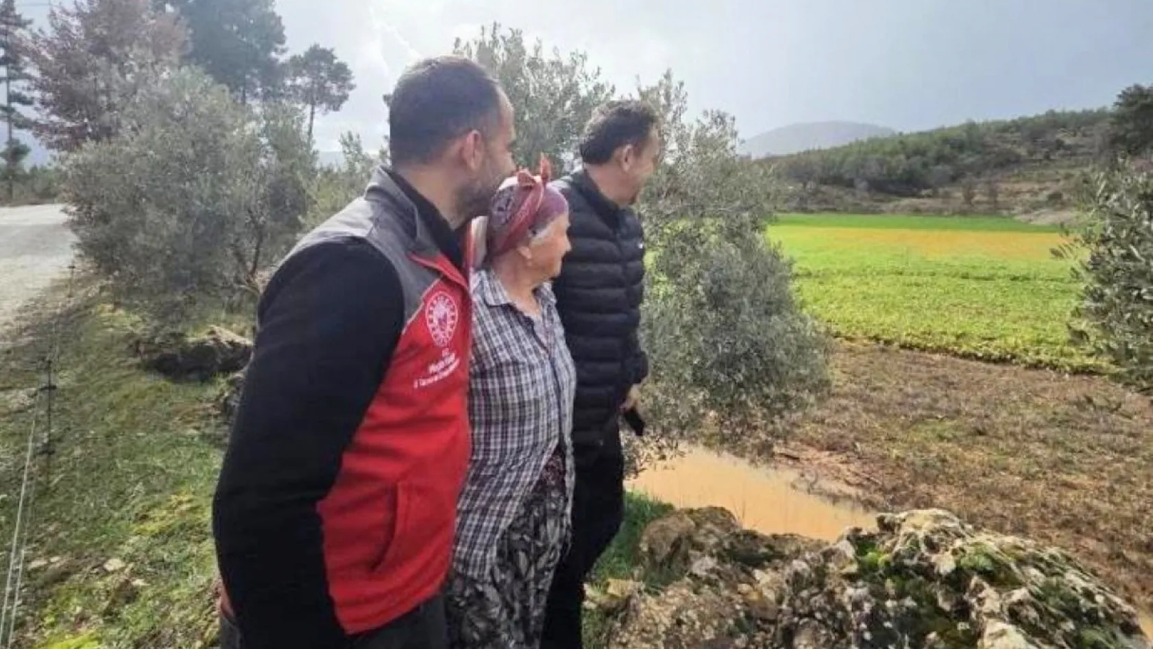 Menteşe'de sağanak yağışların ardından tarım arazilerinde hasar tespit çalışmaları başladı