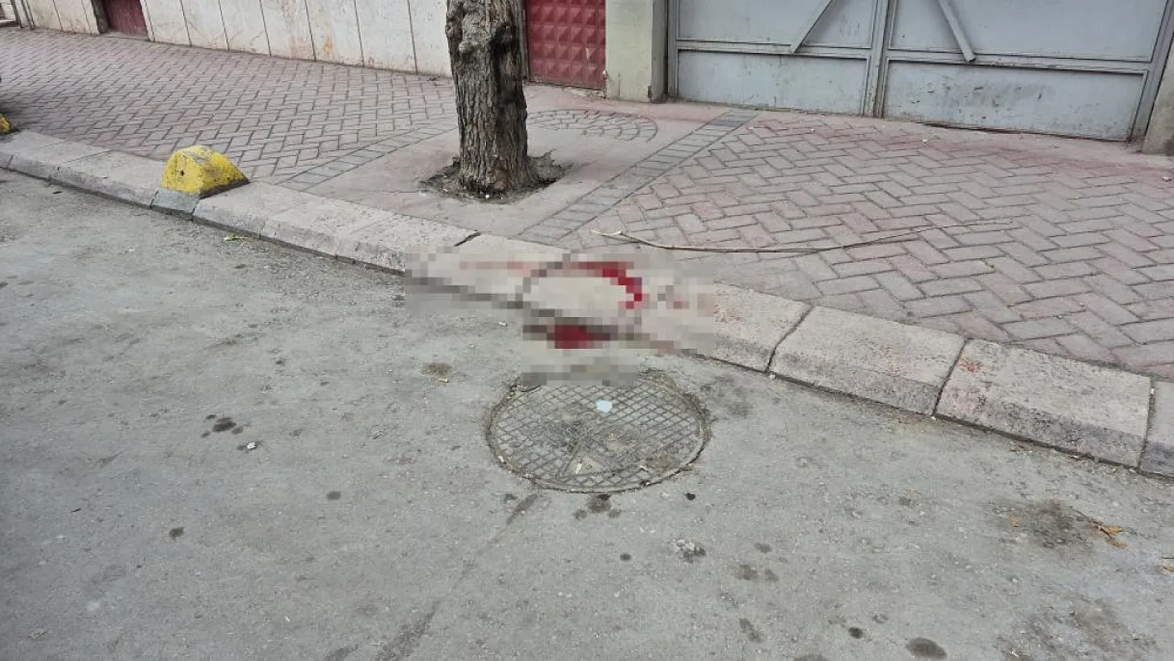 Eskişehir'de 4'üncü kattan düşen öğrenci ağır yaralandı