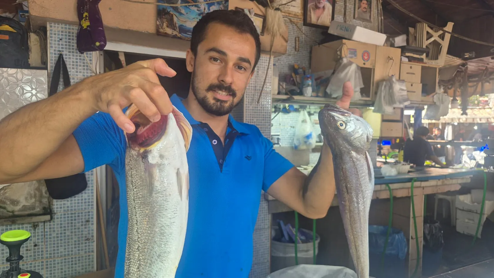 Fethiye Balık Pazarı'nda Hamsi Tezgâhlarda Yerini Aldı