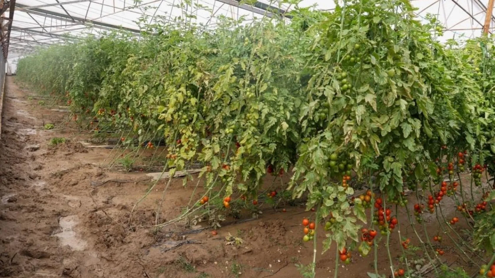 Antalya'da sağanak, sel, hortum ve doludan 23 mahalle, 500 çiftçi zarar gördü
