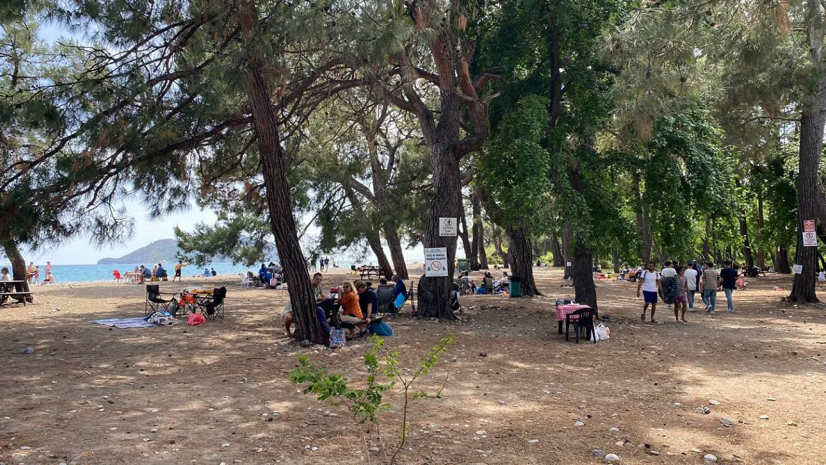 Fethiye Akmaz Plajı'nda pazar yoğunluğu: Vatandaşlar halk plajlarına sahip çıkılmasını istiyor