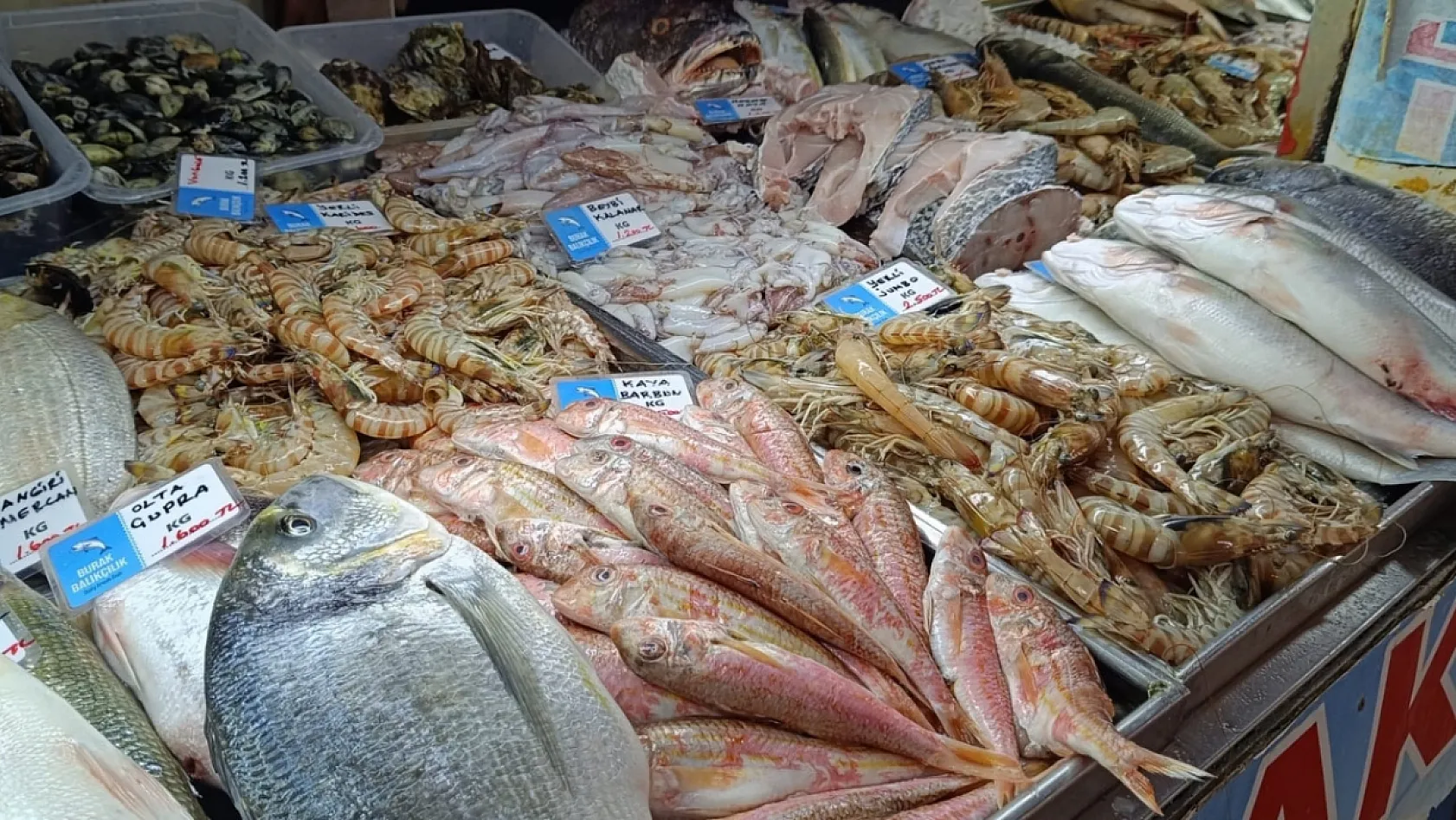 Fethiye Balık Pazarı'nda sezonun gözdesi 'çupra ve levrek'