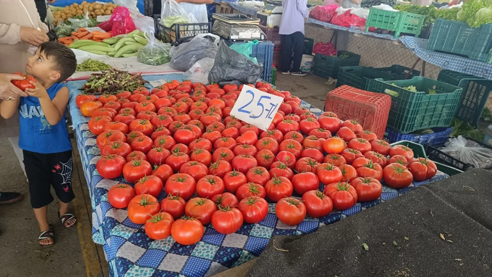 Fethiye Çalıca Pazarı'nda Güncel Fiyatlar: Erik 200 TL, Karpuz 20 TL