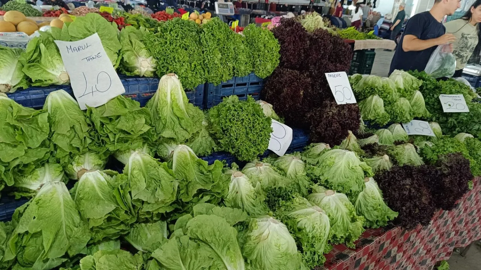Fethiye Çalıca Pazarı'nda Güncel Fiyatlar: Erik 200 TL, Karpuz 20 TL