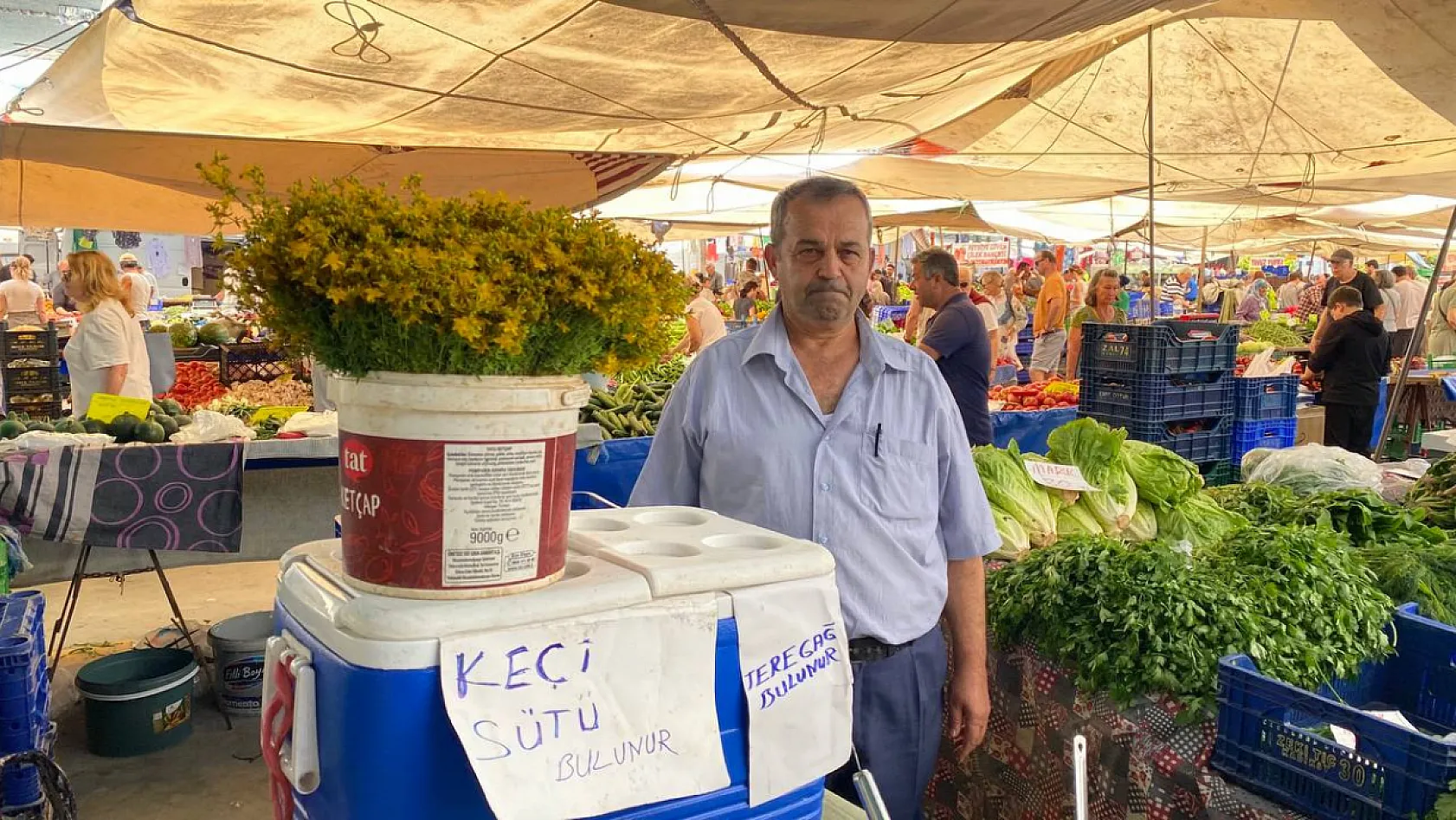 Fethiye Çalış Pazarı'nda Keçi Sütüne Yoğun İlgi: 'Anne Sütüne En Yakın Süt Olarak Biliniyor'