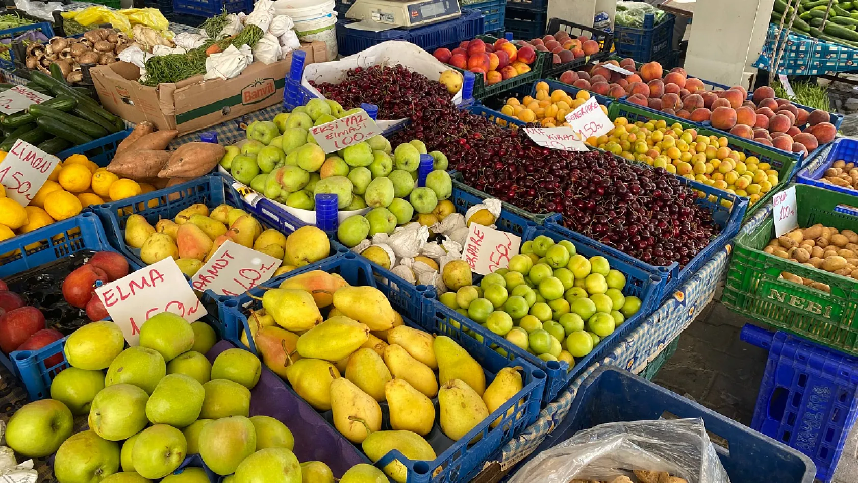 Fethiye Cumartesi Pazarı'nda Bu Haftanın Meyve Fiyatları