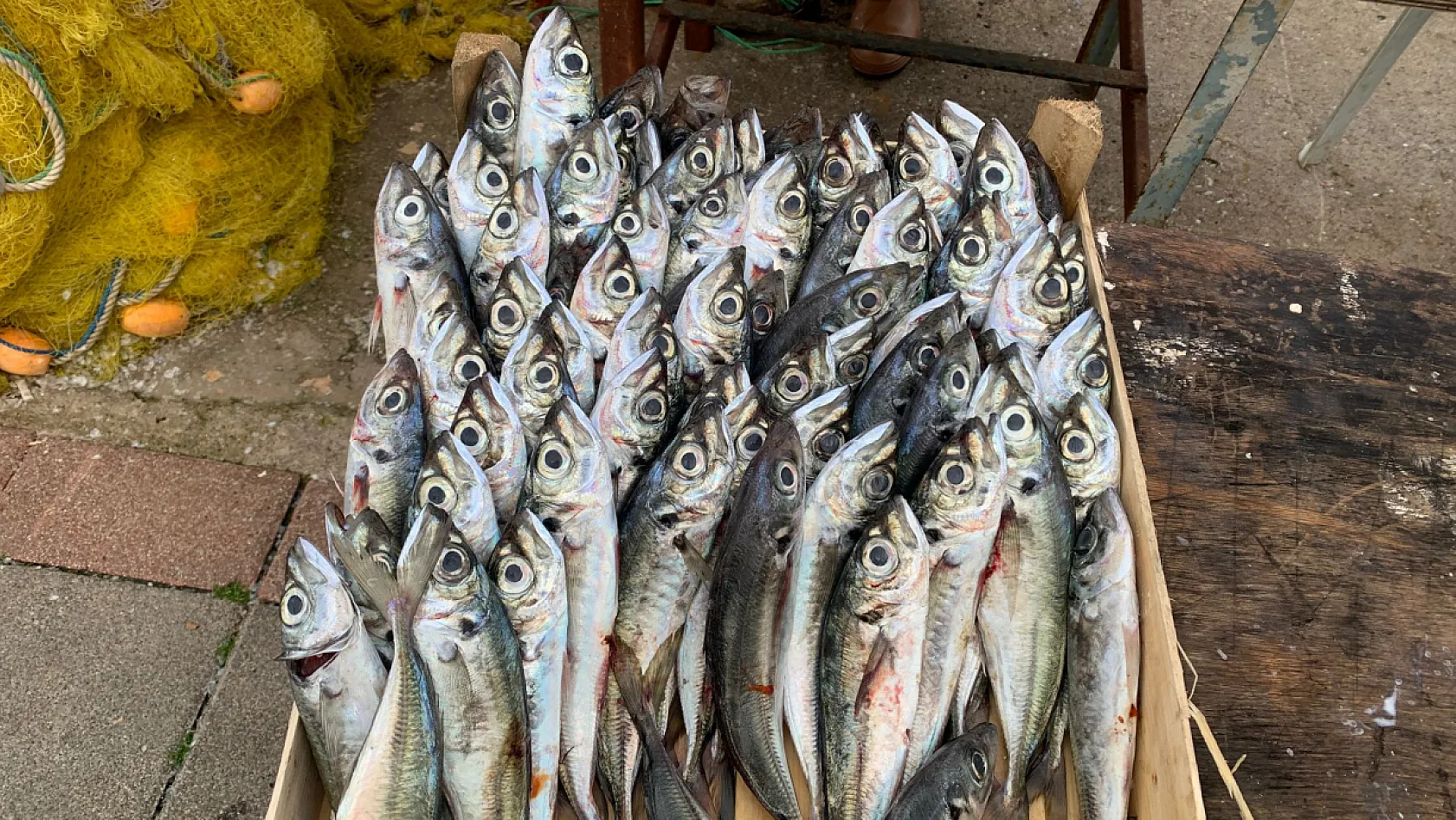 Fethiye'de 30 yıllık ustalık, 9 yıllık gençlik aynı teknede