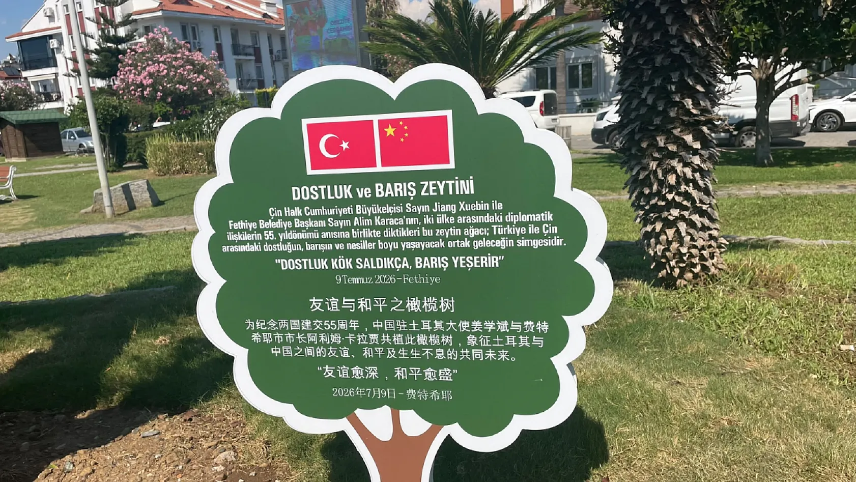 Fethiye'de barışın güvercinleri uçtu, dostluğun zeytini dikildi