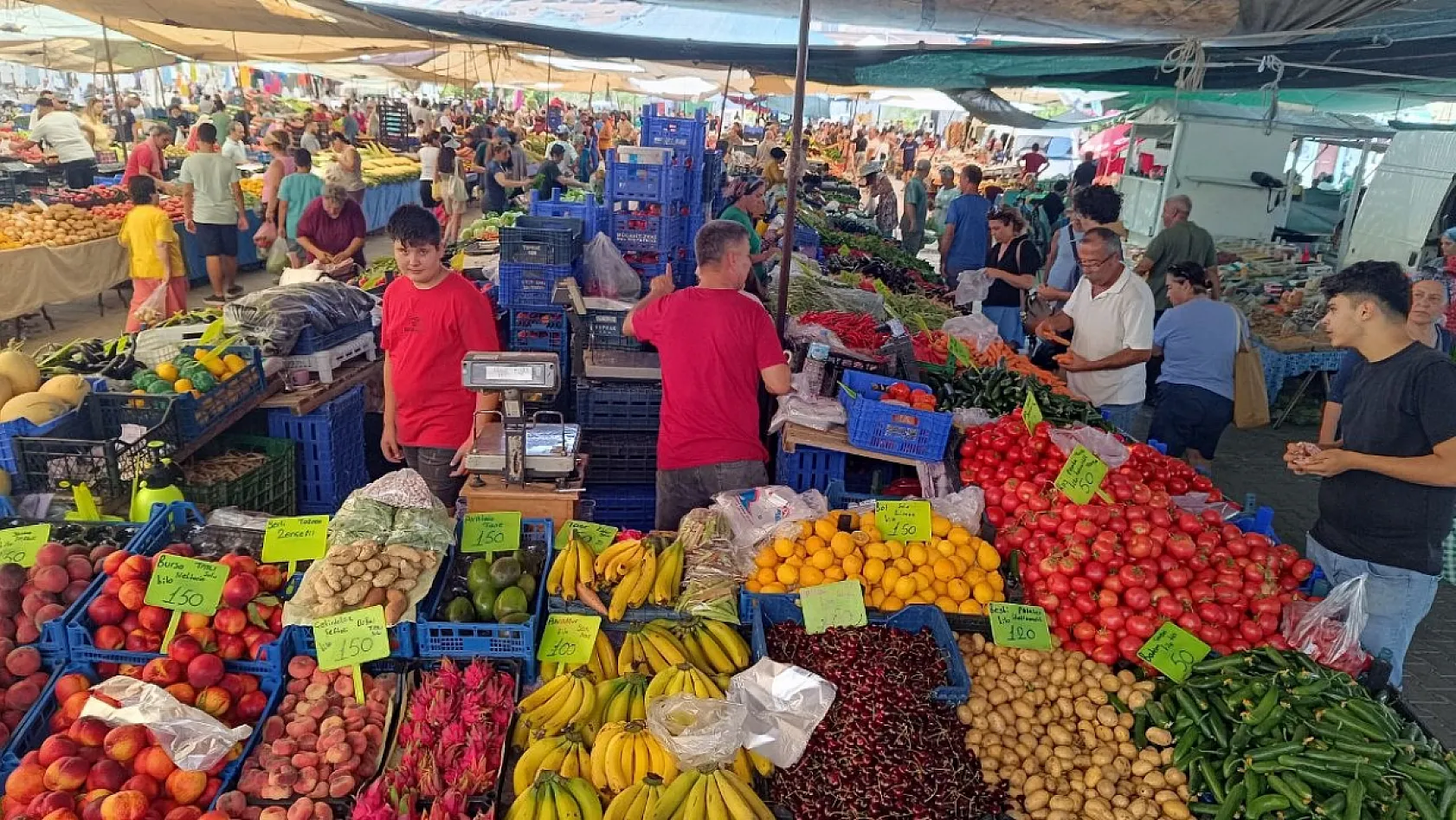 Fethiye Foça Pazarı'nda Bu Hafta Hangi Ürün Kaç TL? Güncel Fiyatlar Açıklandı
