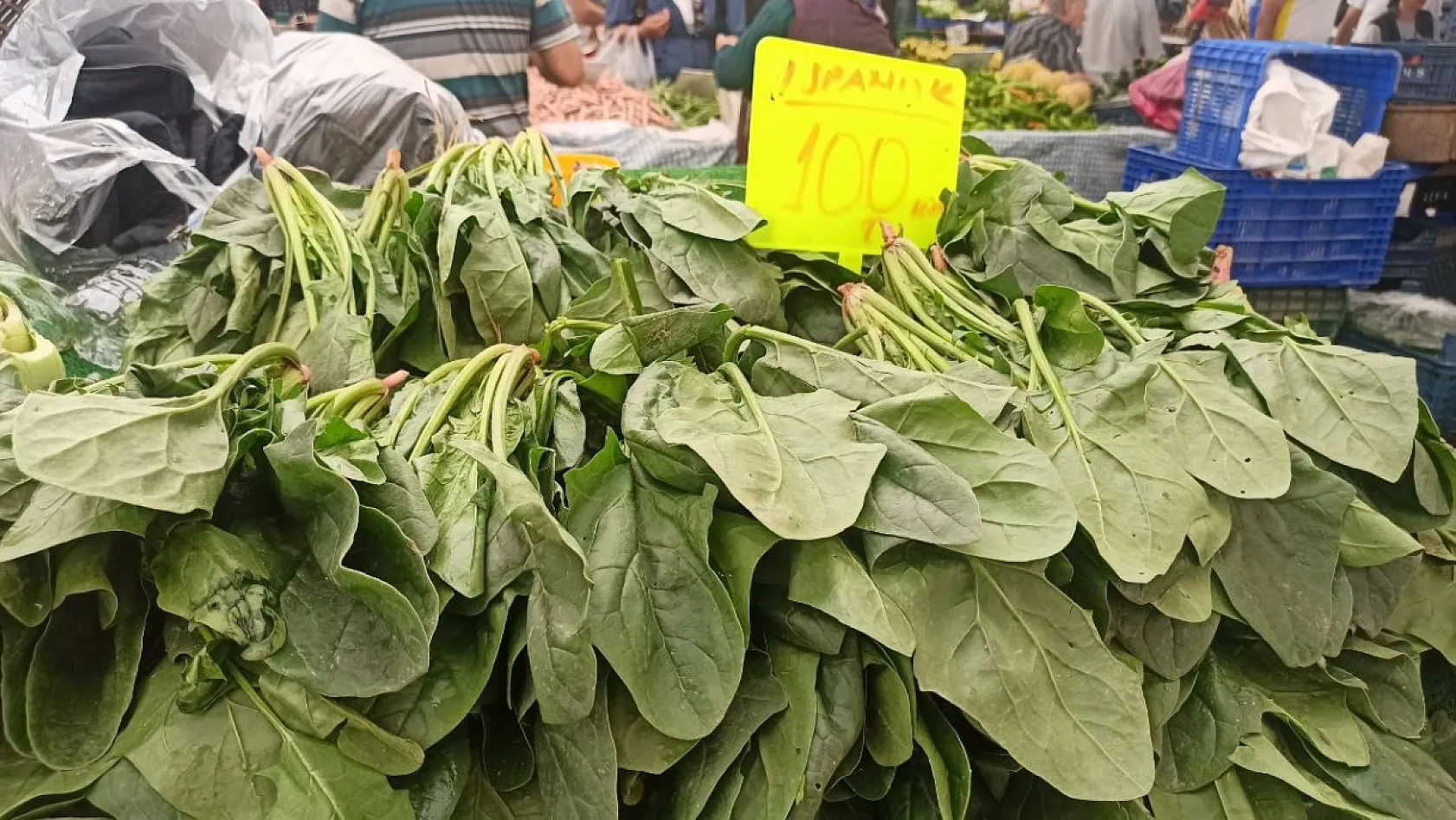 Fethiye Foça Pazarı'nda Sebze Tezgahları Renklendi