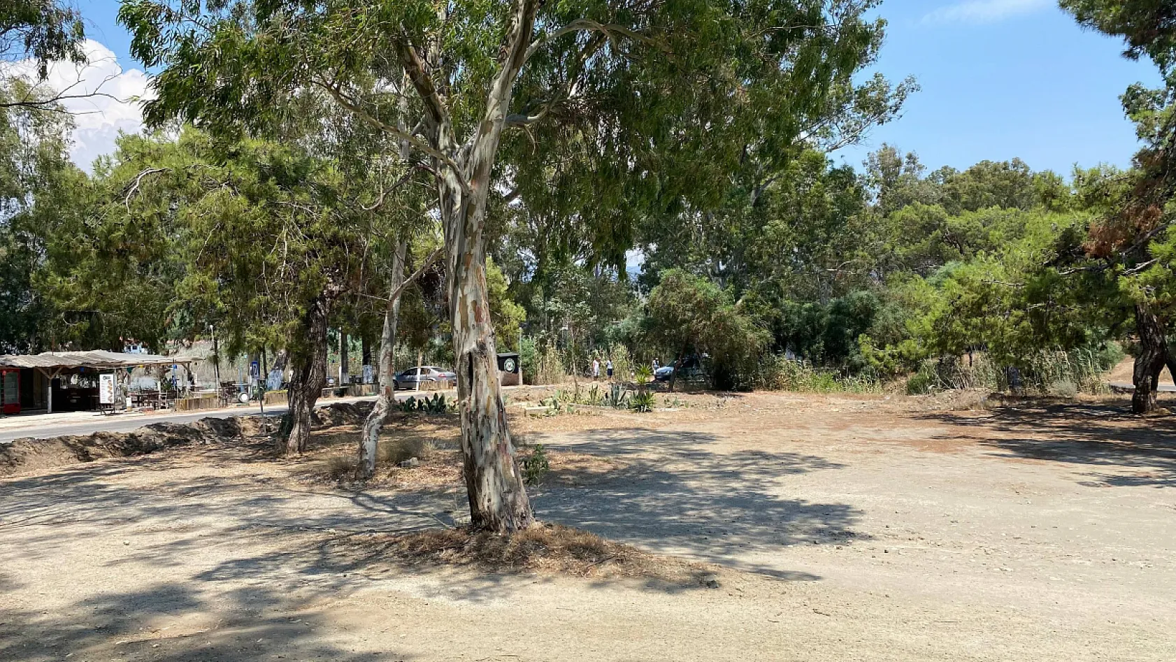 Fethiye Koca Çalış'daki Türbe Bölgesi Araç Girişine Kapatıldı