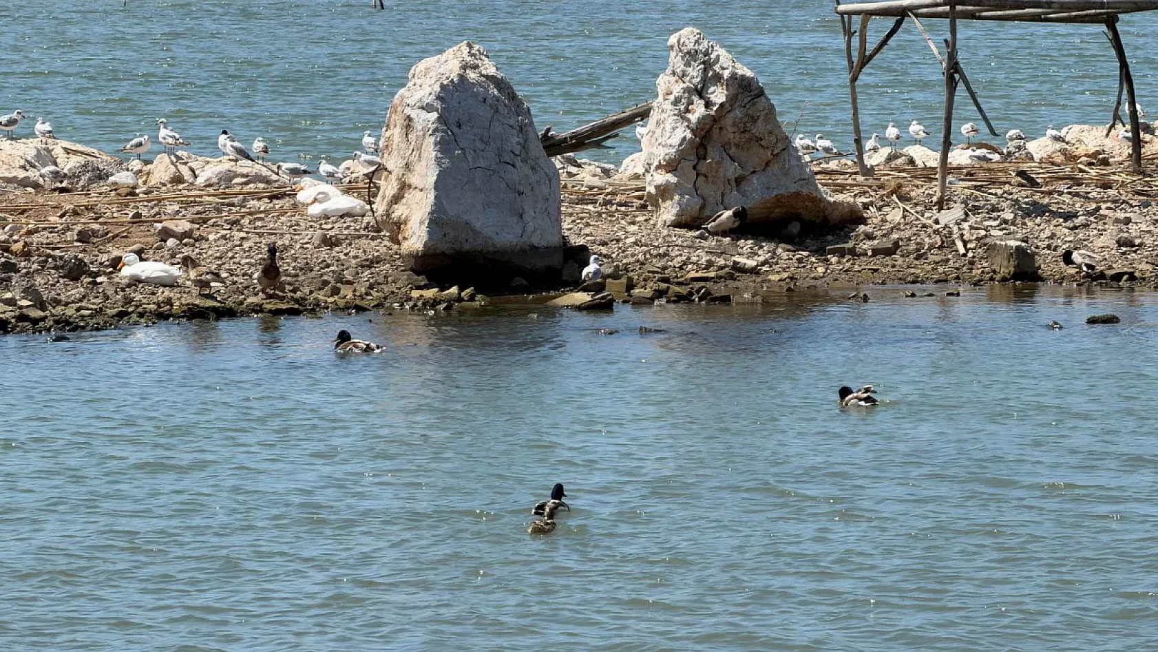 Fethiye Ördek Adası'nda bulutlu hava altında aileler ve kuşlar