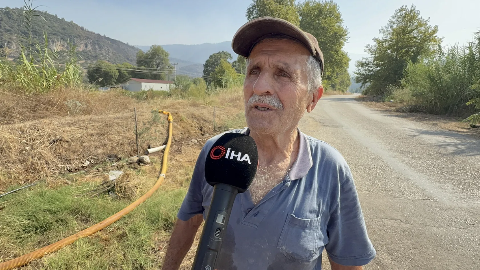 Fethiye orman yangınında zeytinlikleri kül oldu, gözyaşını içine akıtıp yangına su taşıdı