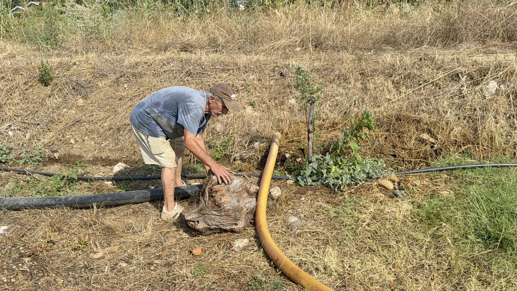 Fethiye orman yangınında zeytinlikleri kül oldu, gözyaşını içine akıtıp yangına su taşıdı