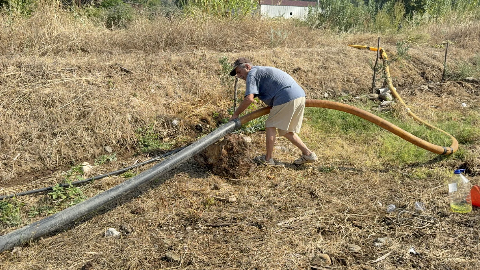 Fethiye orman yangınında zeytinlikleri kül oldu, gözyaşını içine akıtıp yangına su taşıdı