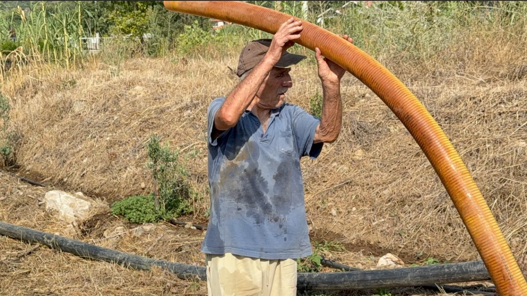 Fethiye orman yangınında zeytinlikleri kül oldu, gözyaşını içine akıtıp yangına su taşıdı