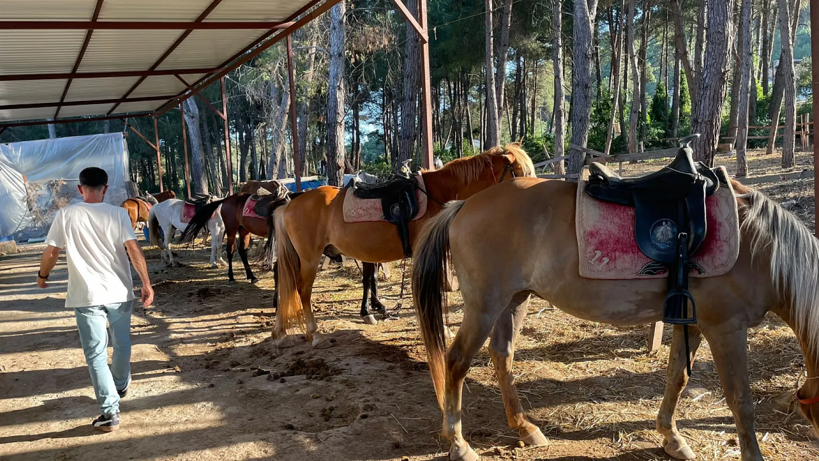 Fethiye Otizm Derneği'nden Anlamlı Etkinlik: Otizmli Bireyler Atlarla Doğayla Buluştu