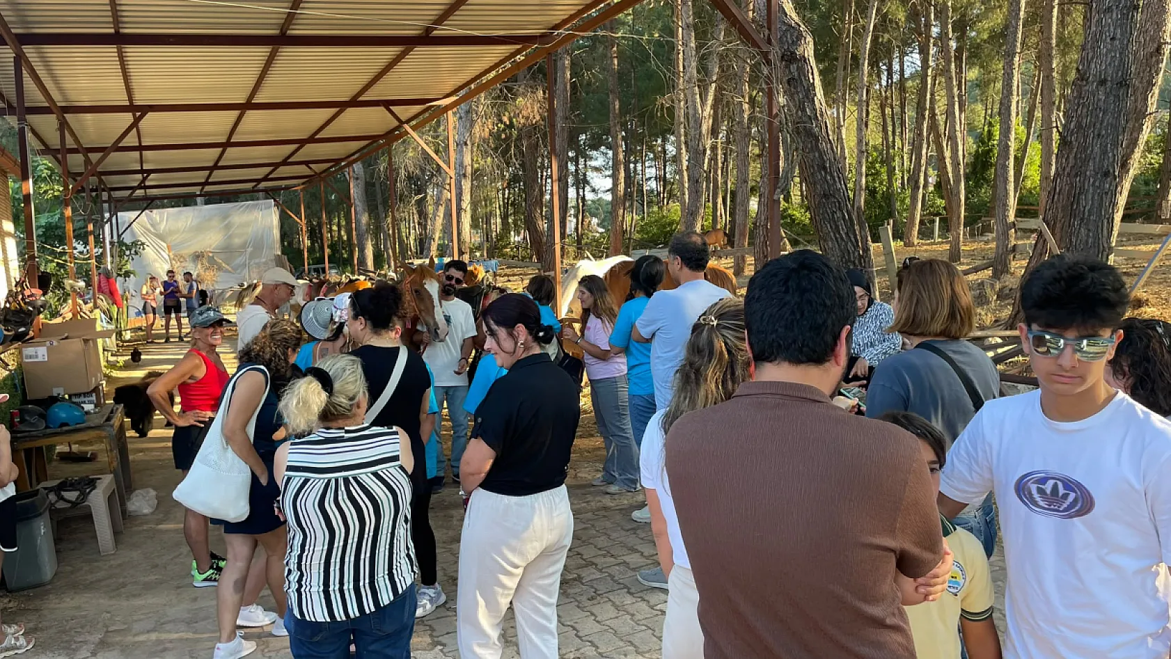 Fethiye Otizm Derneği'nden Anlamlı Etkinlik: Otizmli Bireyler Atlarla Doğayla Buluştu