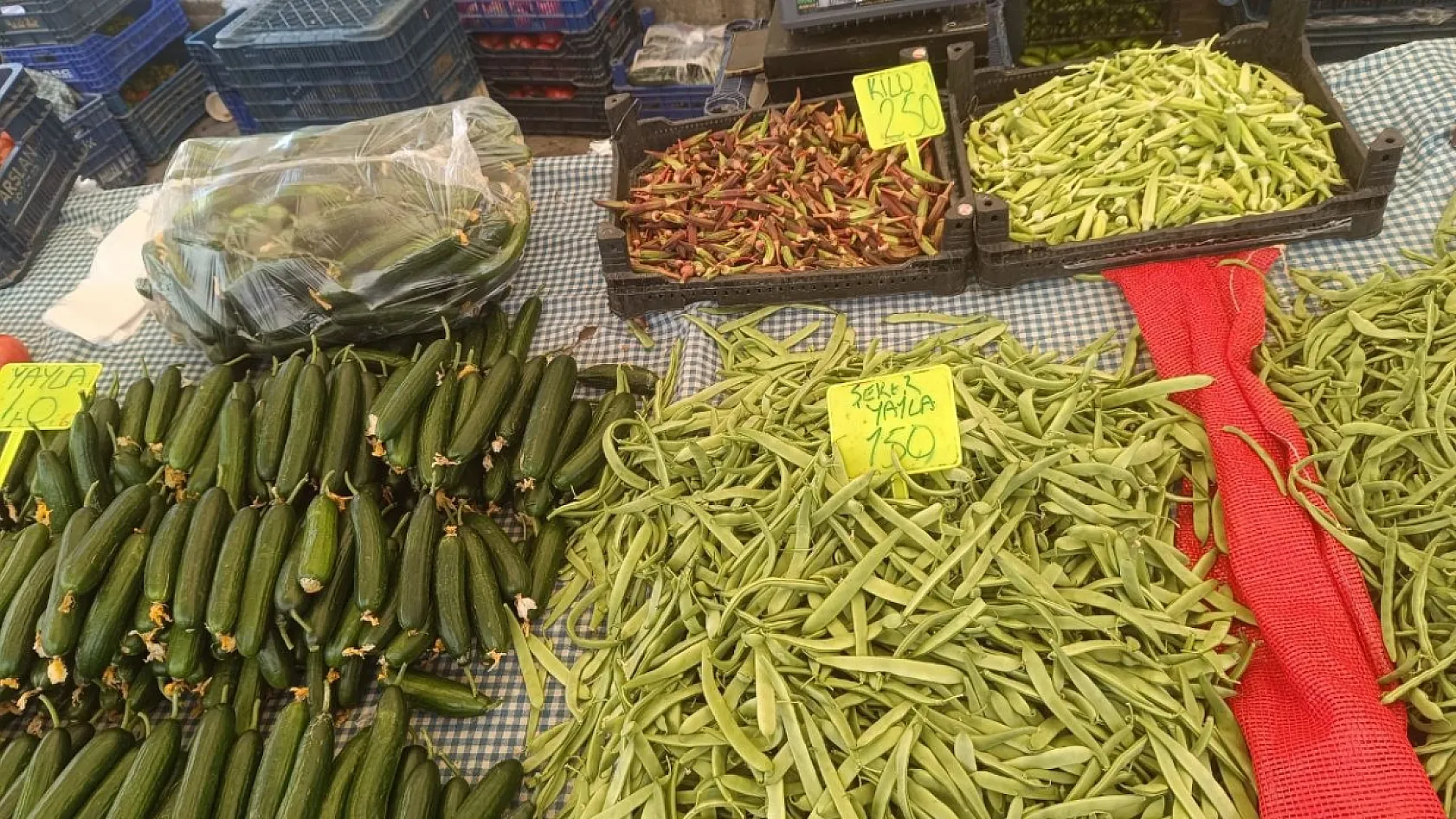 Fethiye Salı Pazarı'nda Güncel Sebze ve Meyve Fiyatları Belli Oldu: Fasulye 150, Barbunya 250 TL