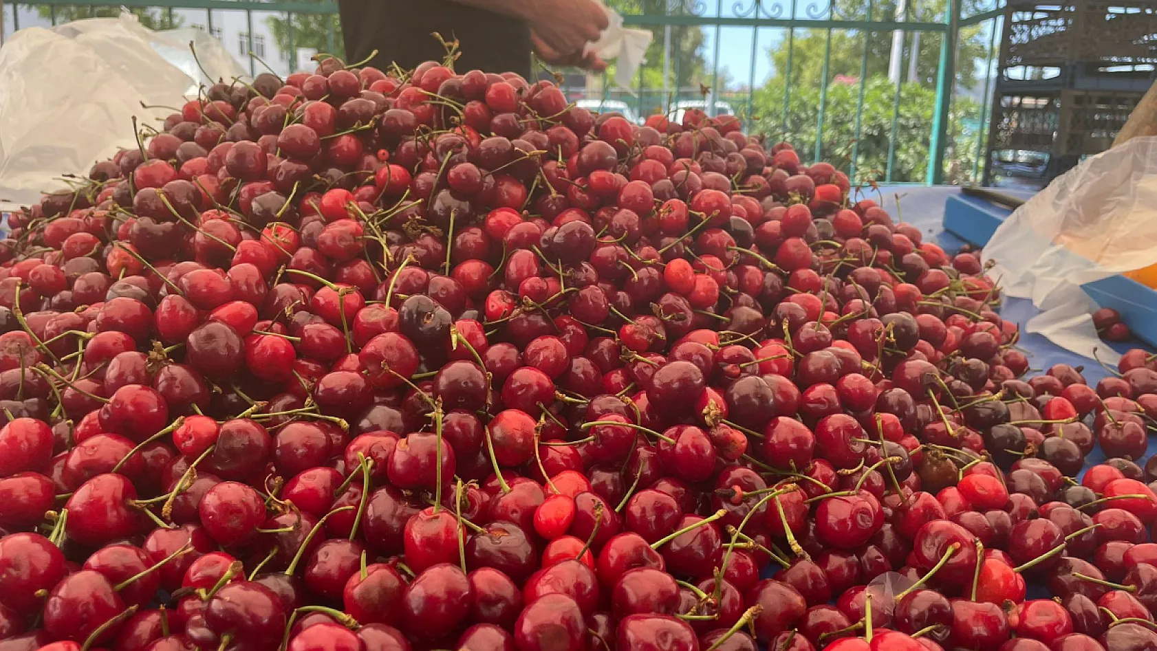 Fethiye Üretici Pazarı bayramda da hizmete devam etti