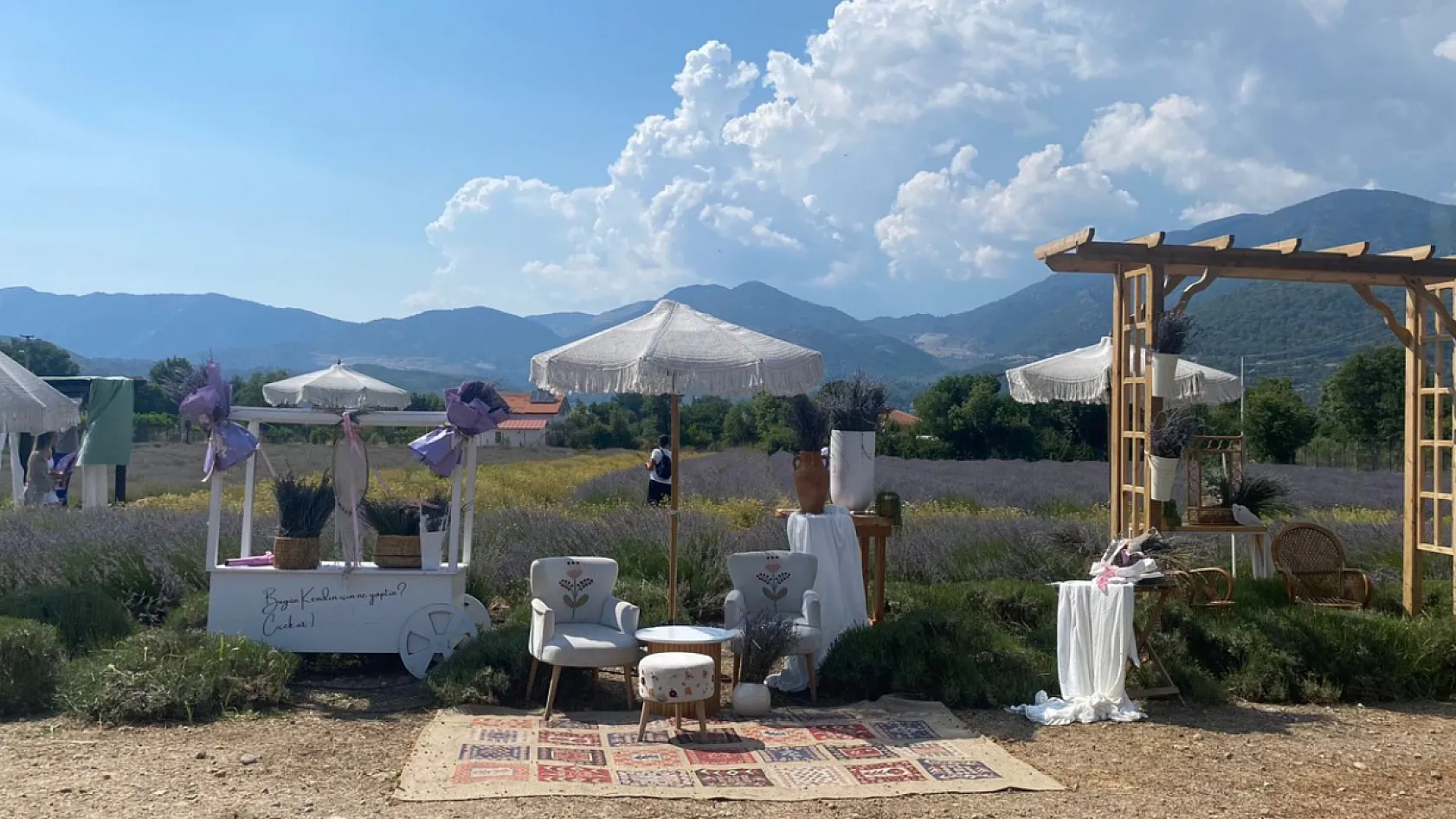 Fethiye Yeşilüzümlü'de 5. Lavanta Kesimi başladı