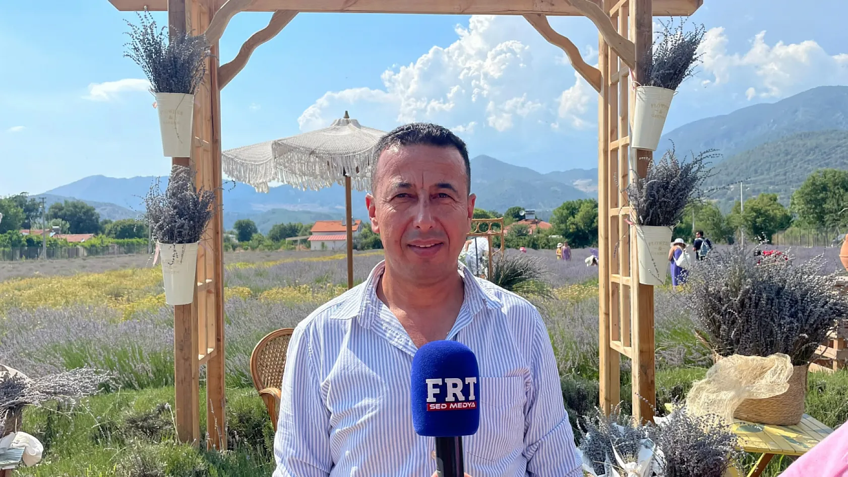 Fethiye Yeşilüzümlü'de 5. Lavanta Kesimi başladı