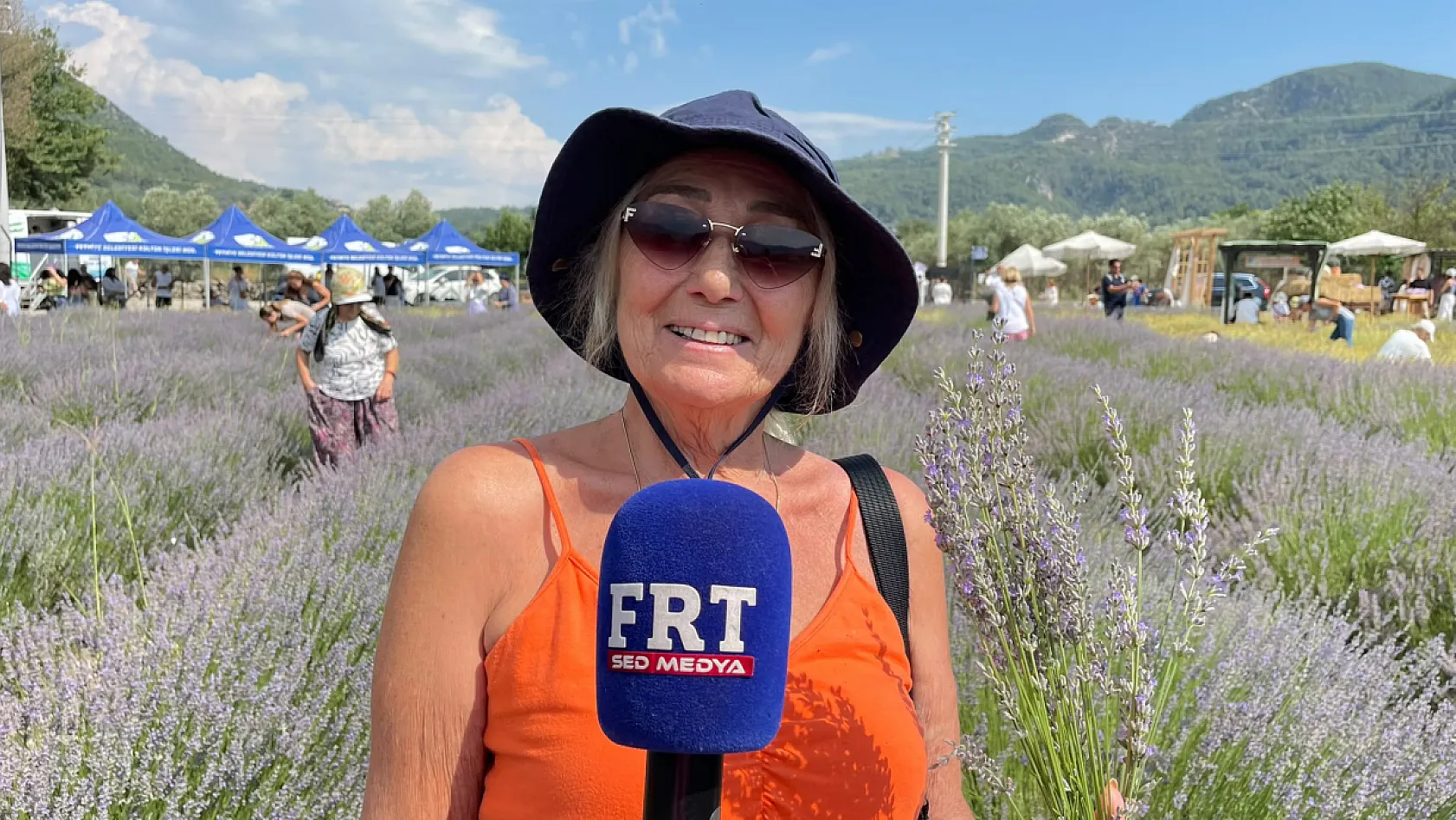 Fethiye Yeşilüzümlü'de 5. Lavanta Kesimi başladı